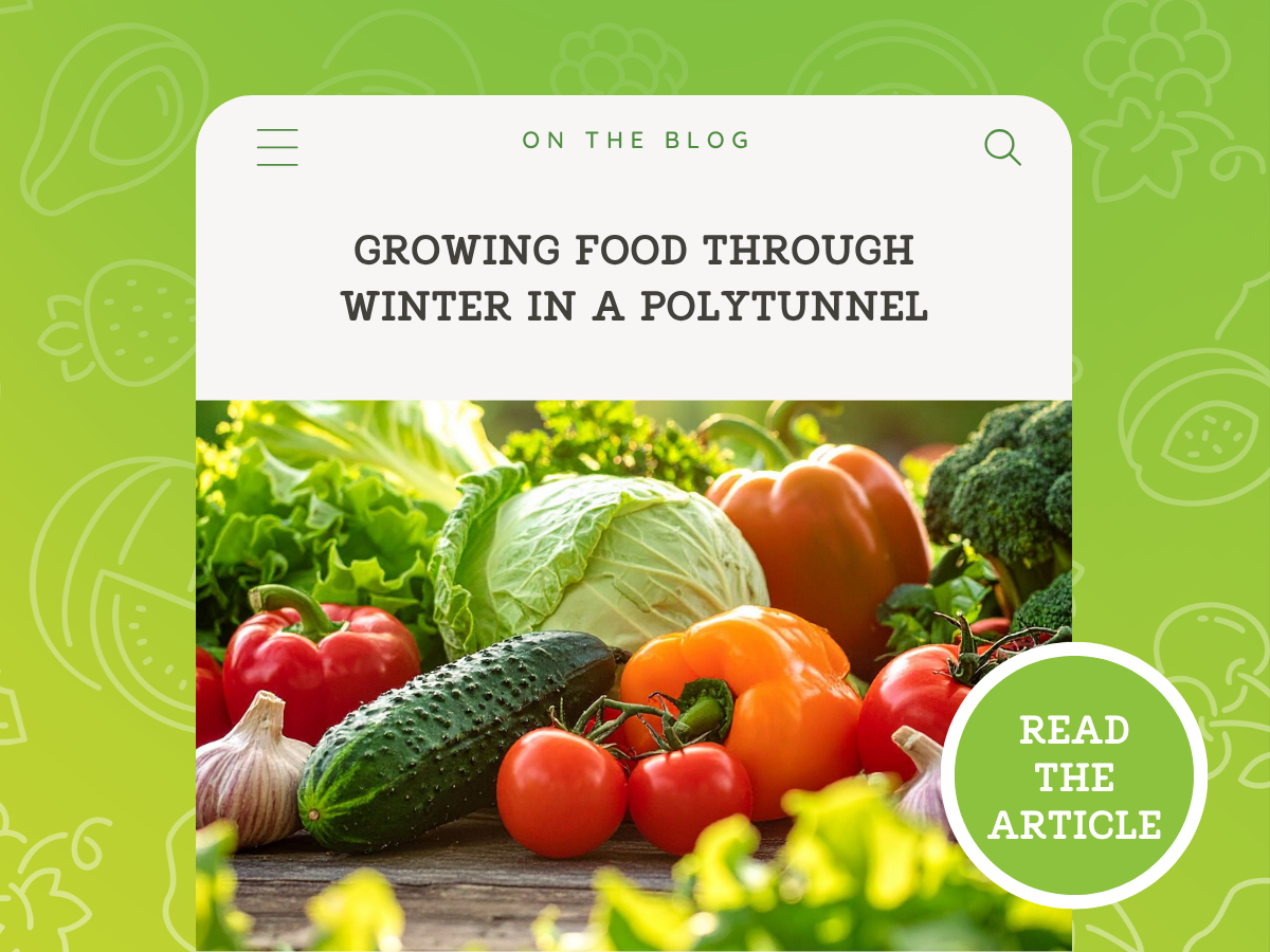 Growing Food Through Winter in a Polytunnel