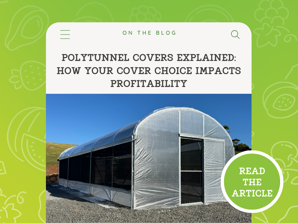 Polytunnel Covers Explained: Plastic vs Solarweave