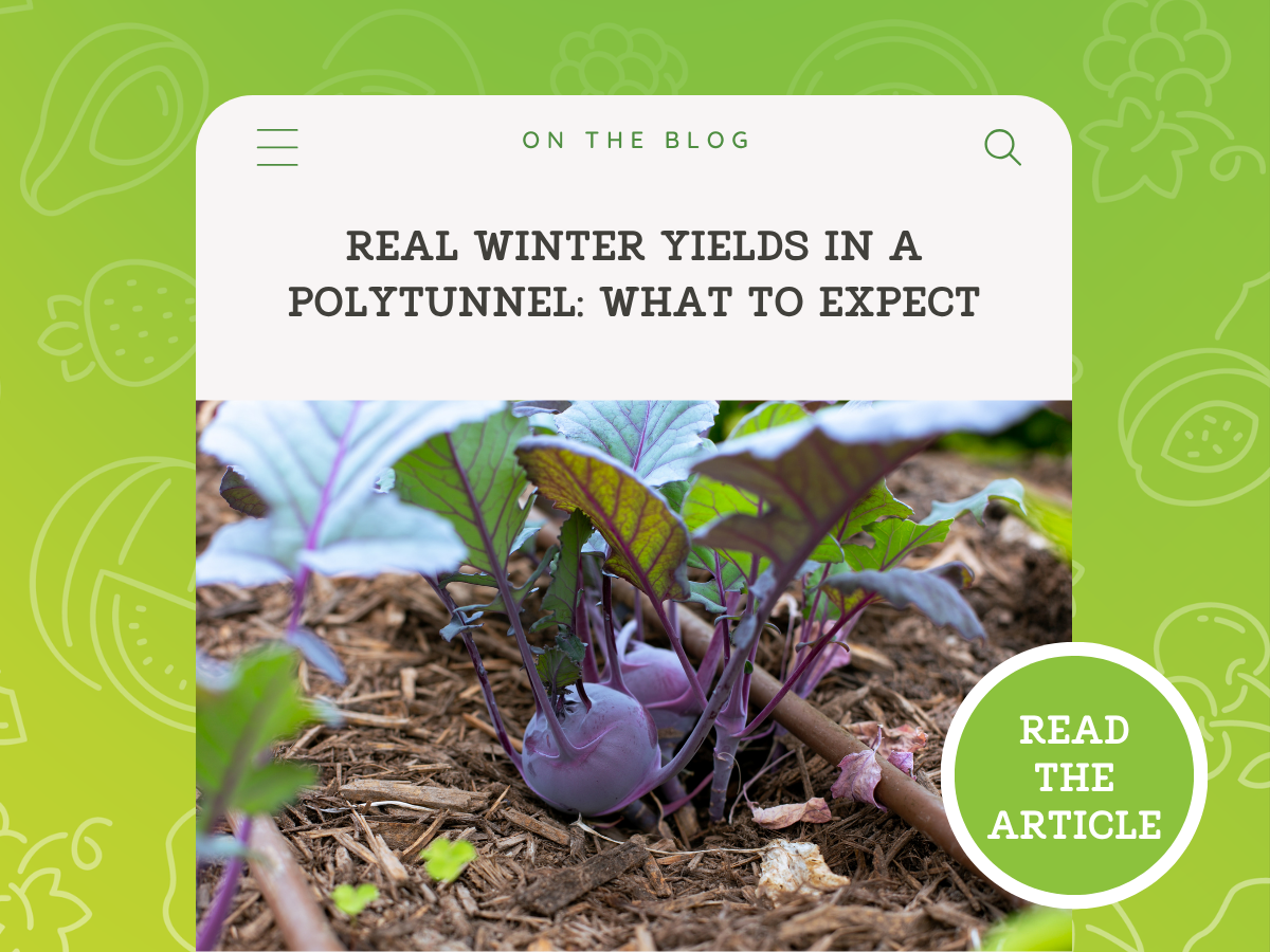 Real Winter Yields: What to Expect