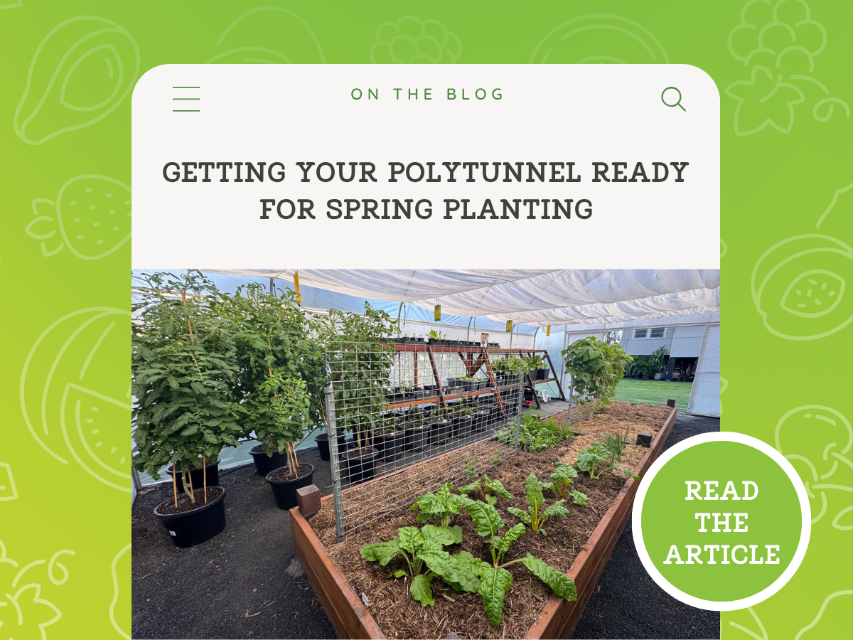 Getting Your Polytunnel Ready for Spring Planting