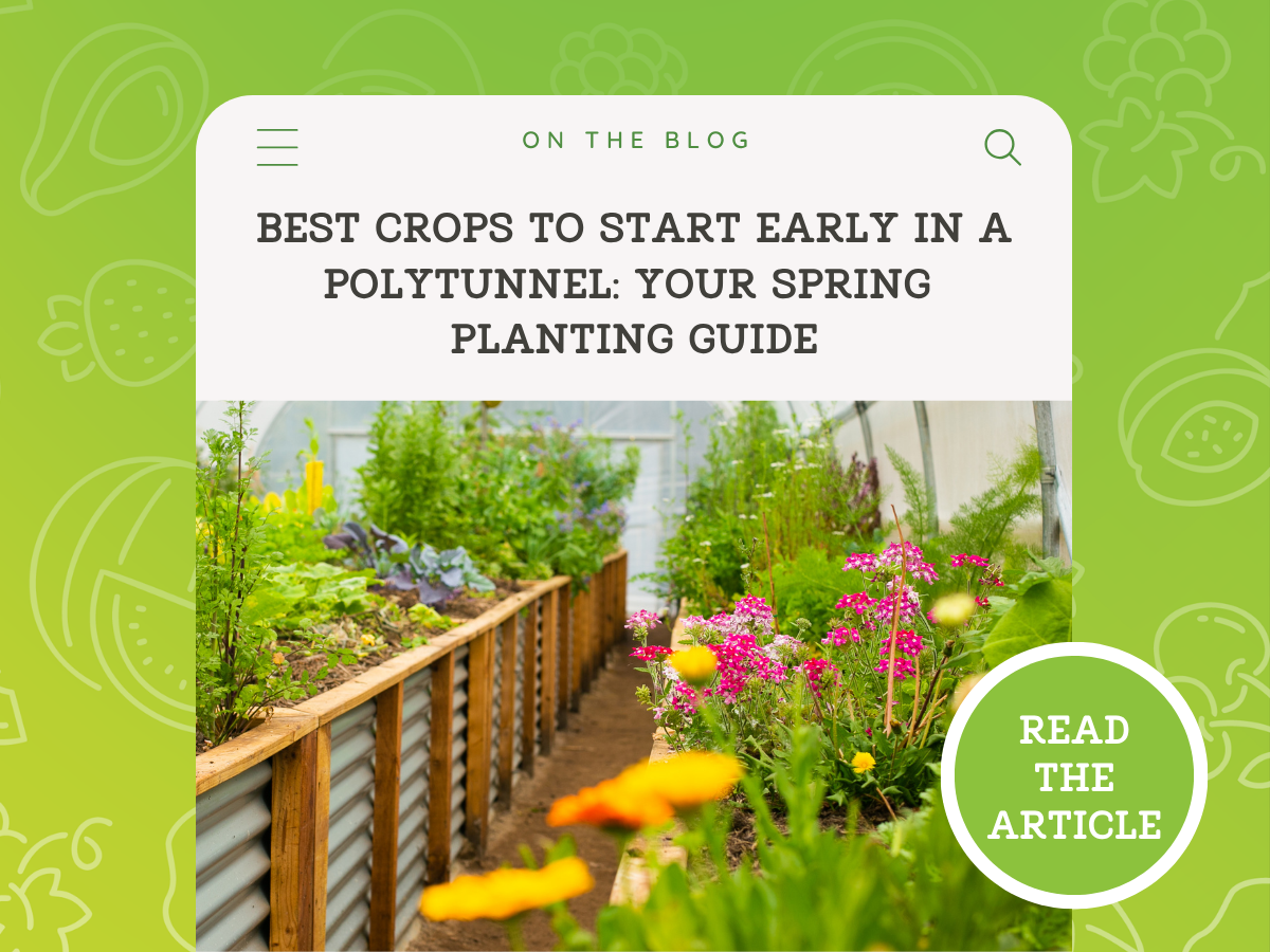Best Crops to Start Early in a Polytunnel: Your Spring Planting Guide