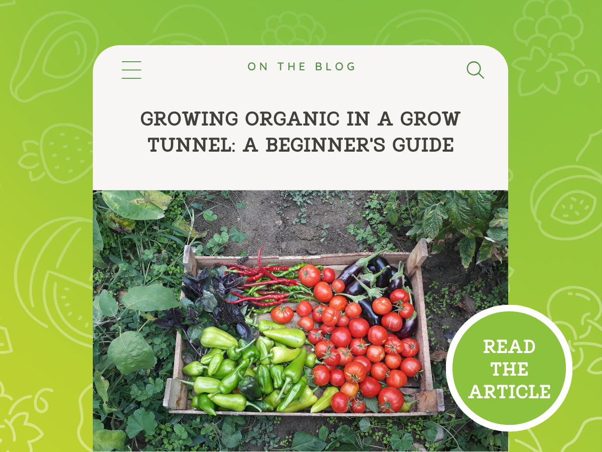 Growing Organic in a Grow Tunnel: A Beginner’s Guide