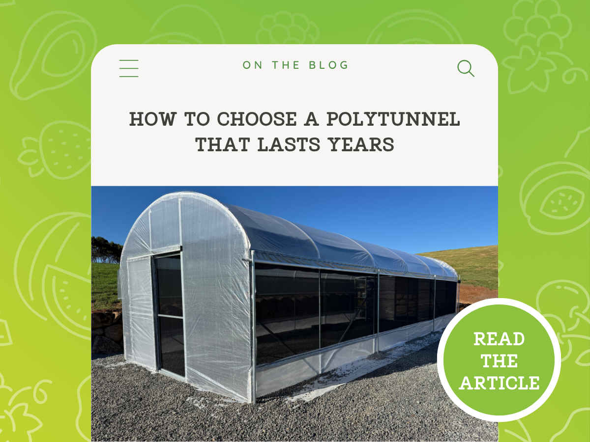 Best Polytunnel Kits Australia: What to Look For Before You Buy