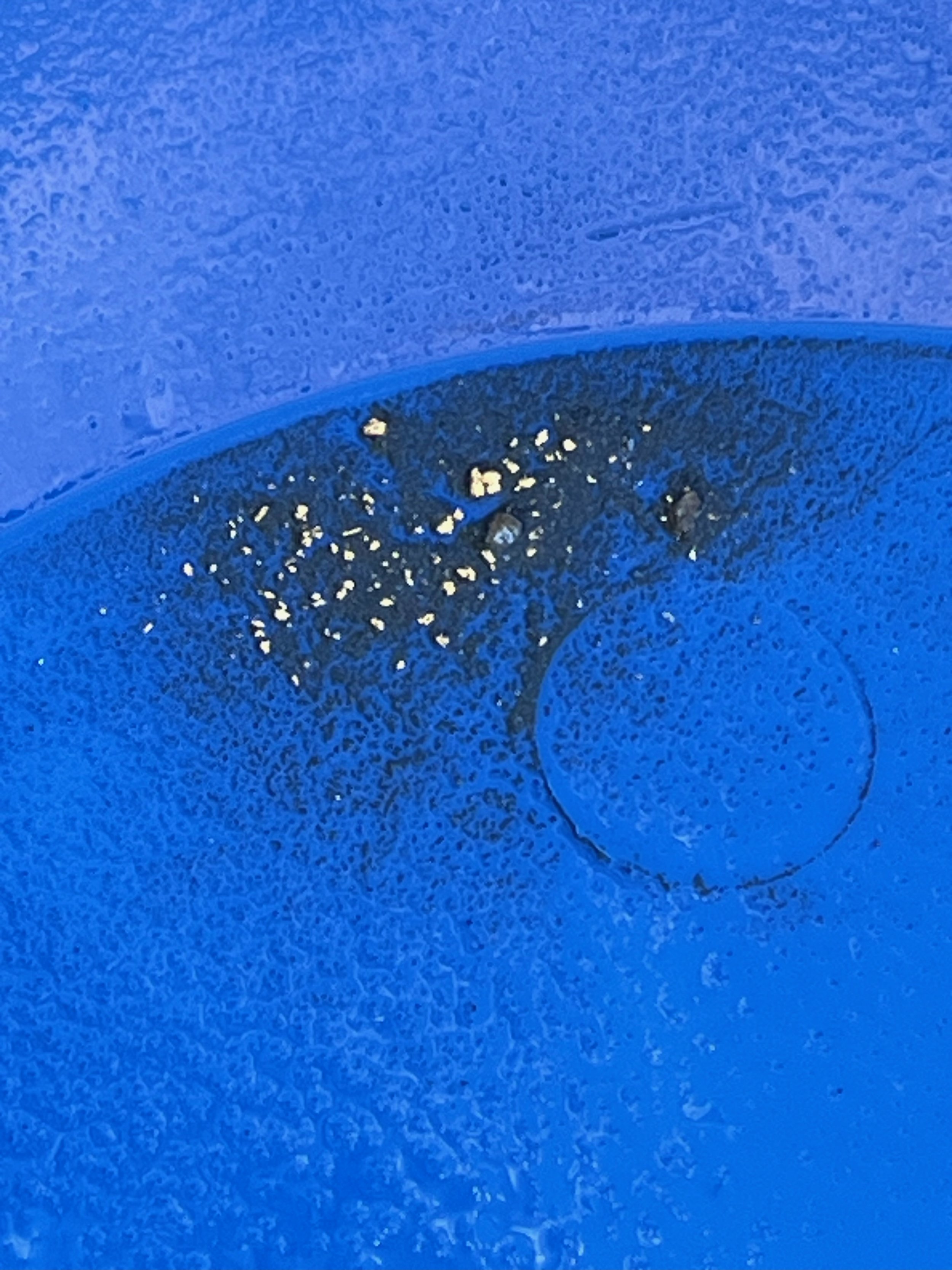 testing what we dredged