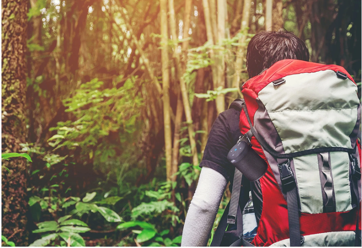 Screenshot 2026-02-05 at 12.07.31 PM.png