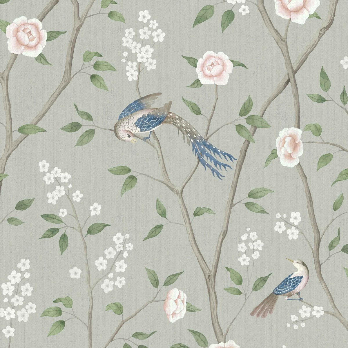 Paradise Birds