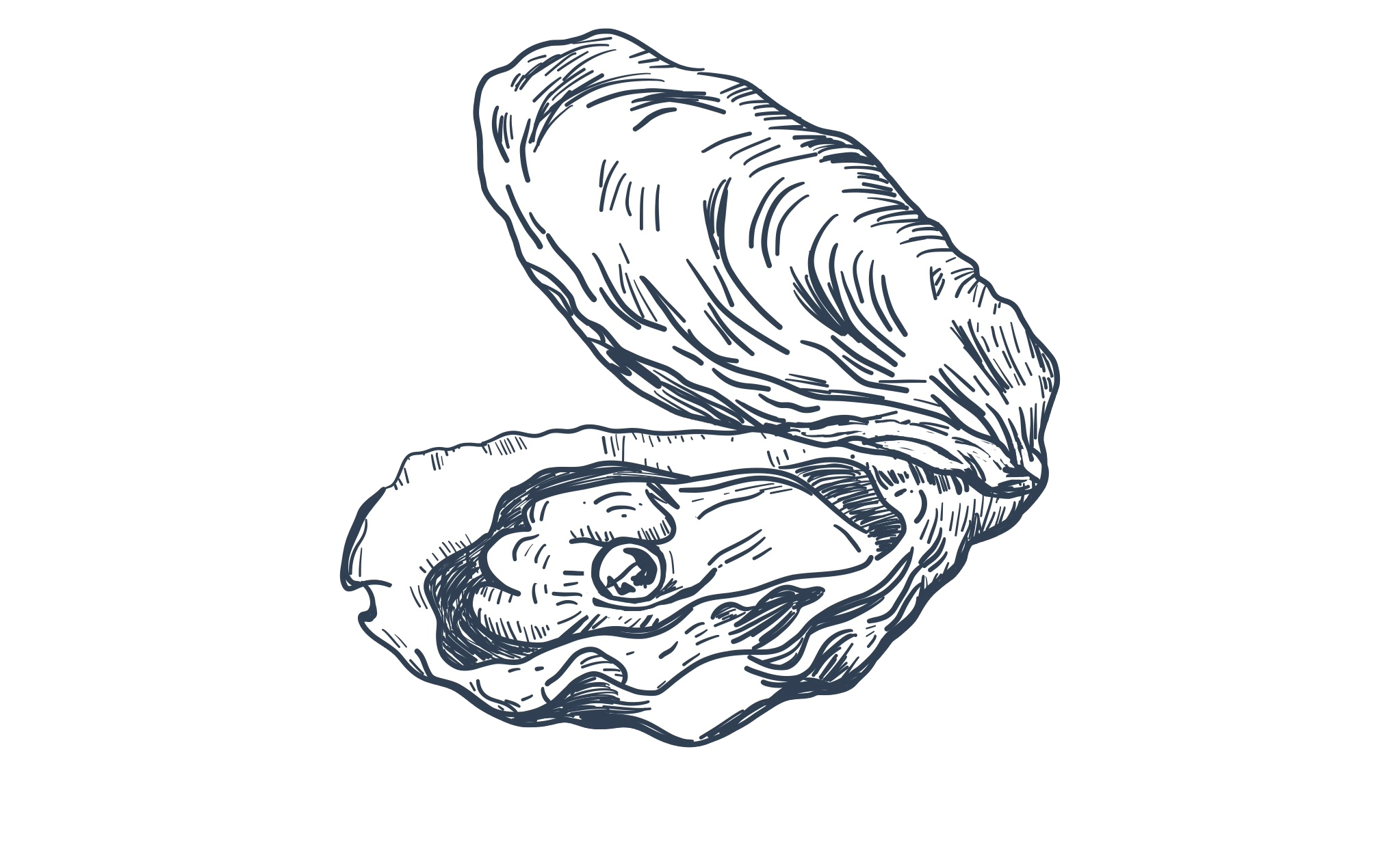 A black and white illustration of an open oyster shell with a pearl inside on a white background.