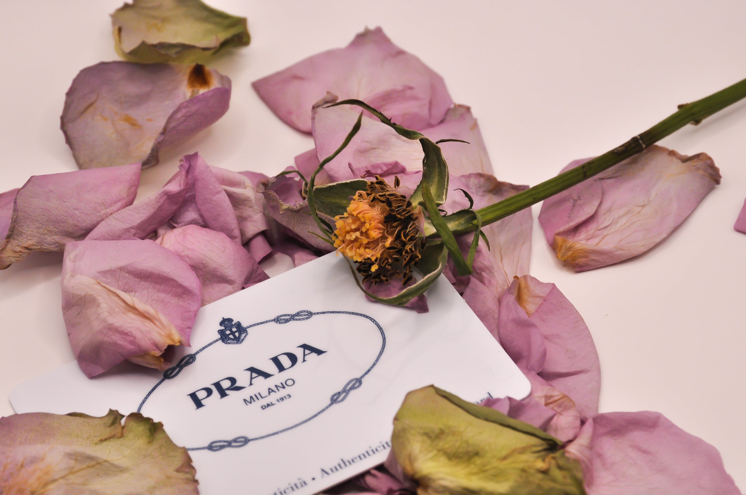 Pronounced Praa-duh