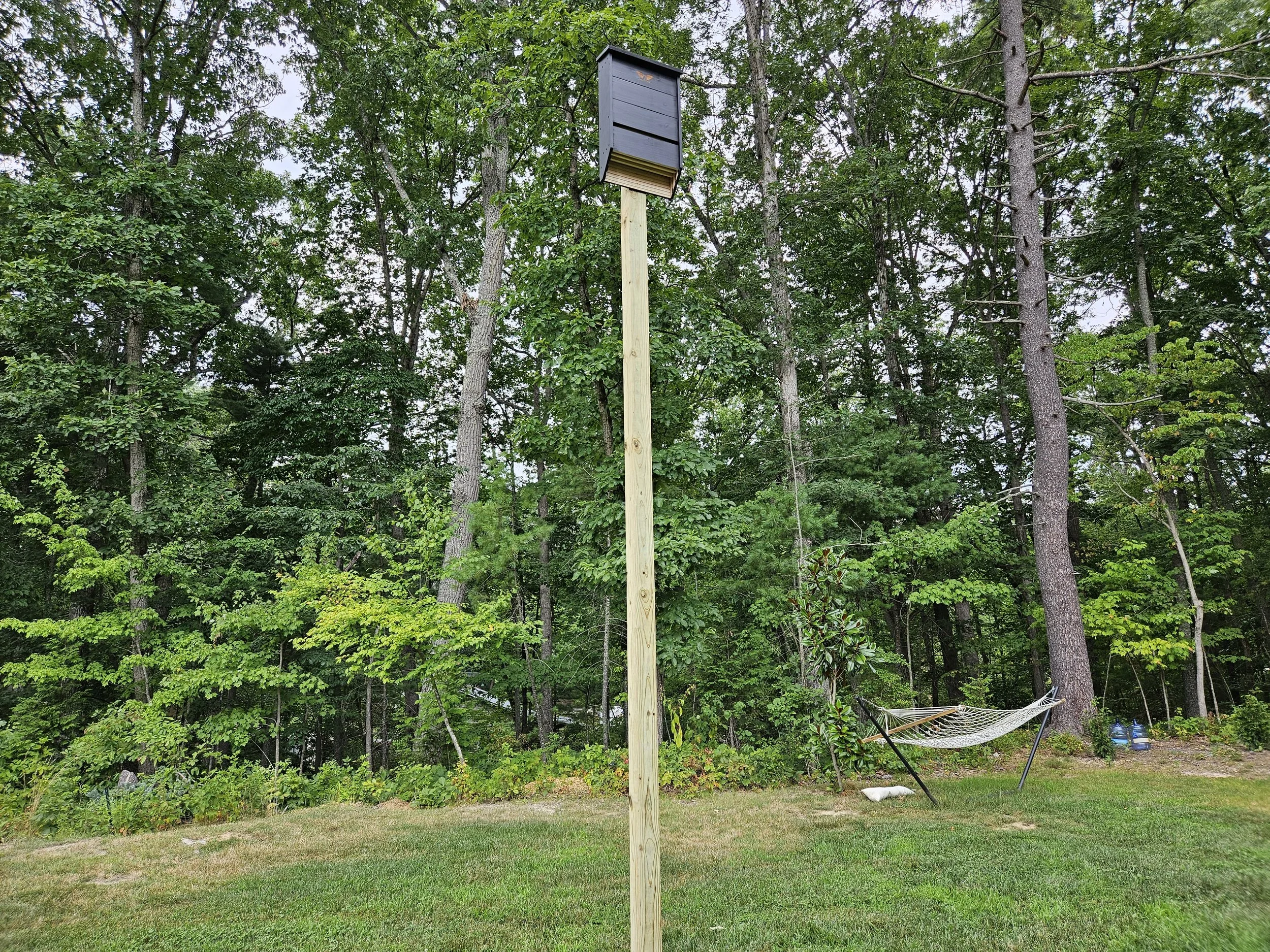 backyard_batbox_woolwine.jpg