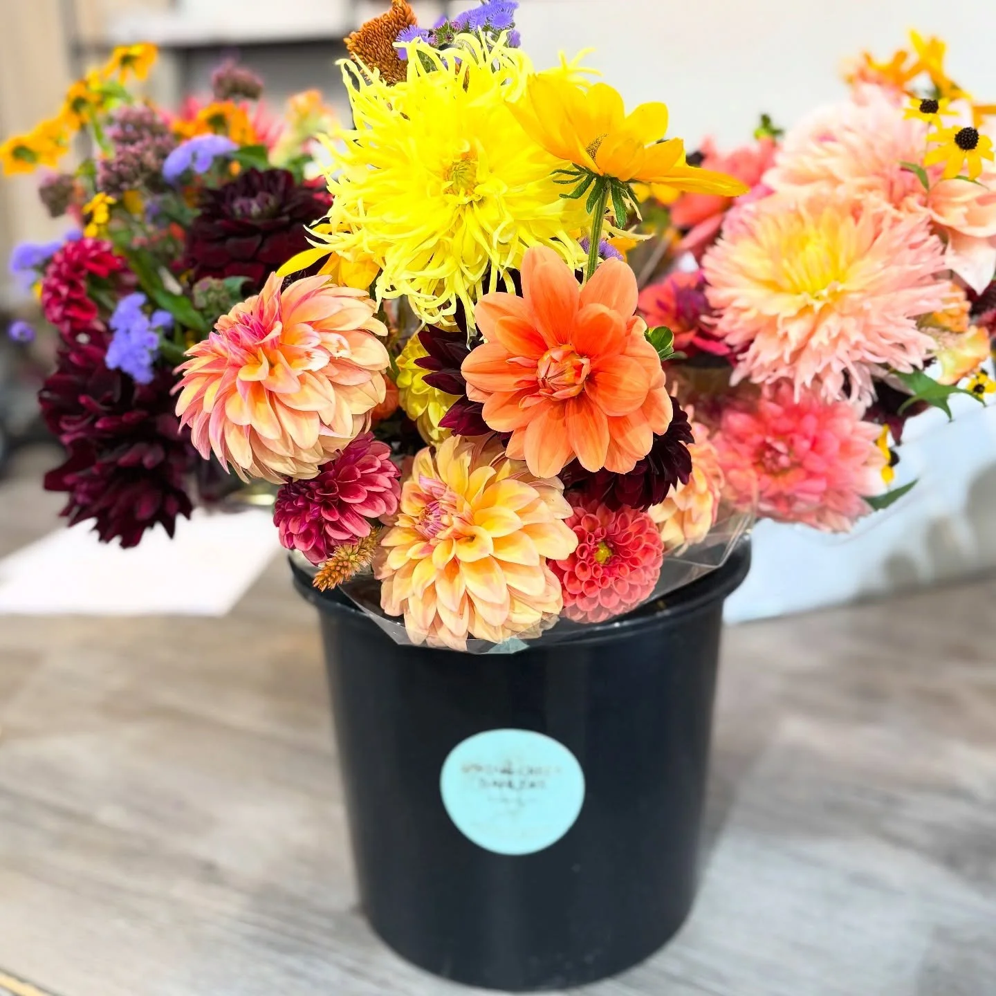 It&rsquo;s Dahlia season, pick up a locally grown bouquet this weekend! 
#dahliaseason #localflowers