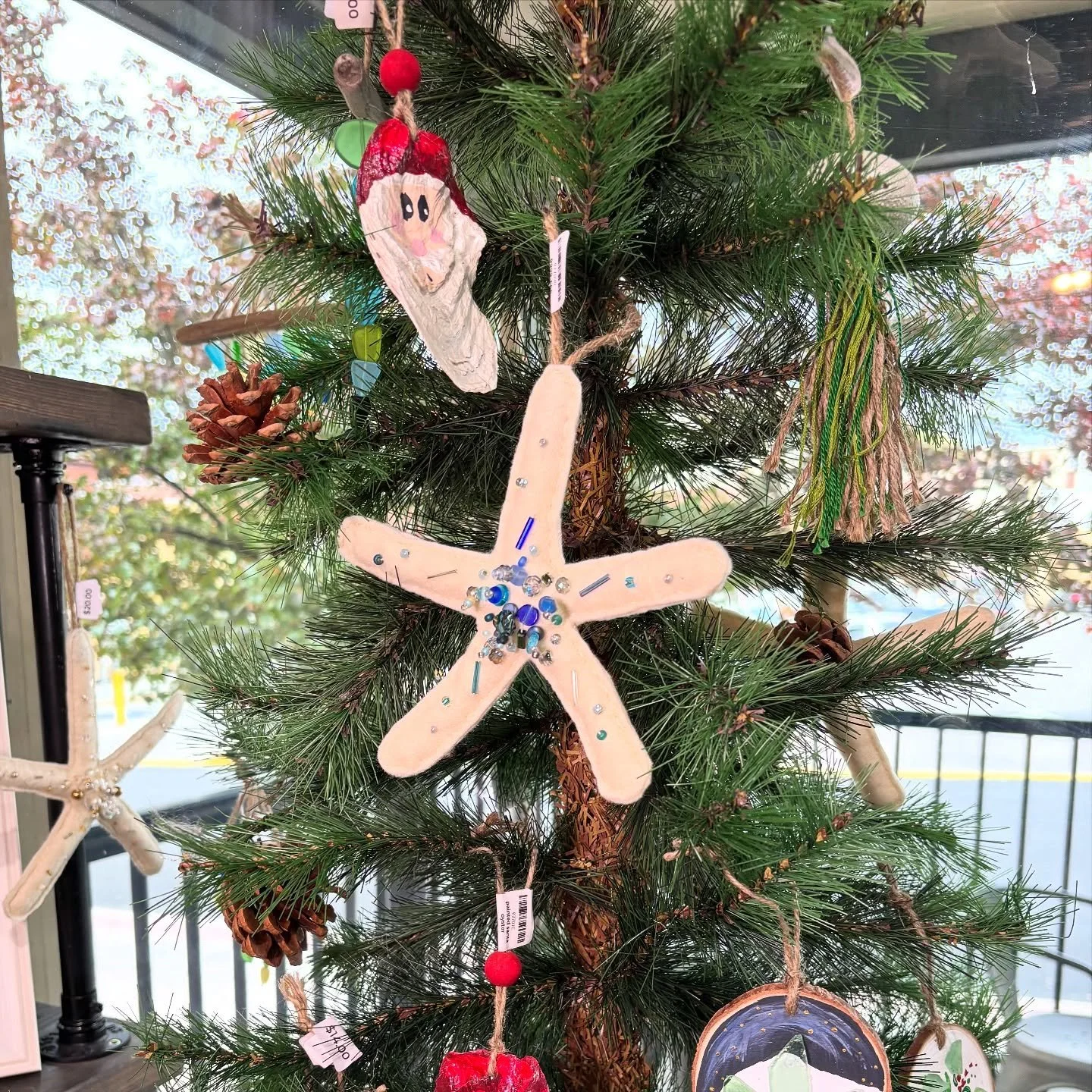 Christmas and Winter made its way into Sandies Design space today. With November only 2 days away - we are ready to welcome all the merchandise of the new Season!