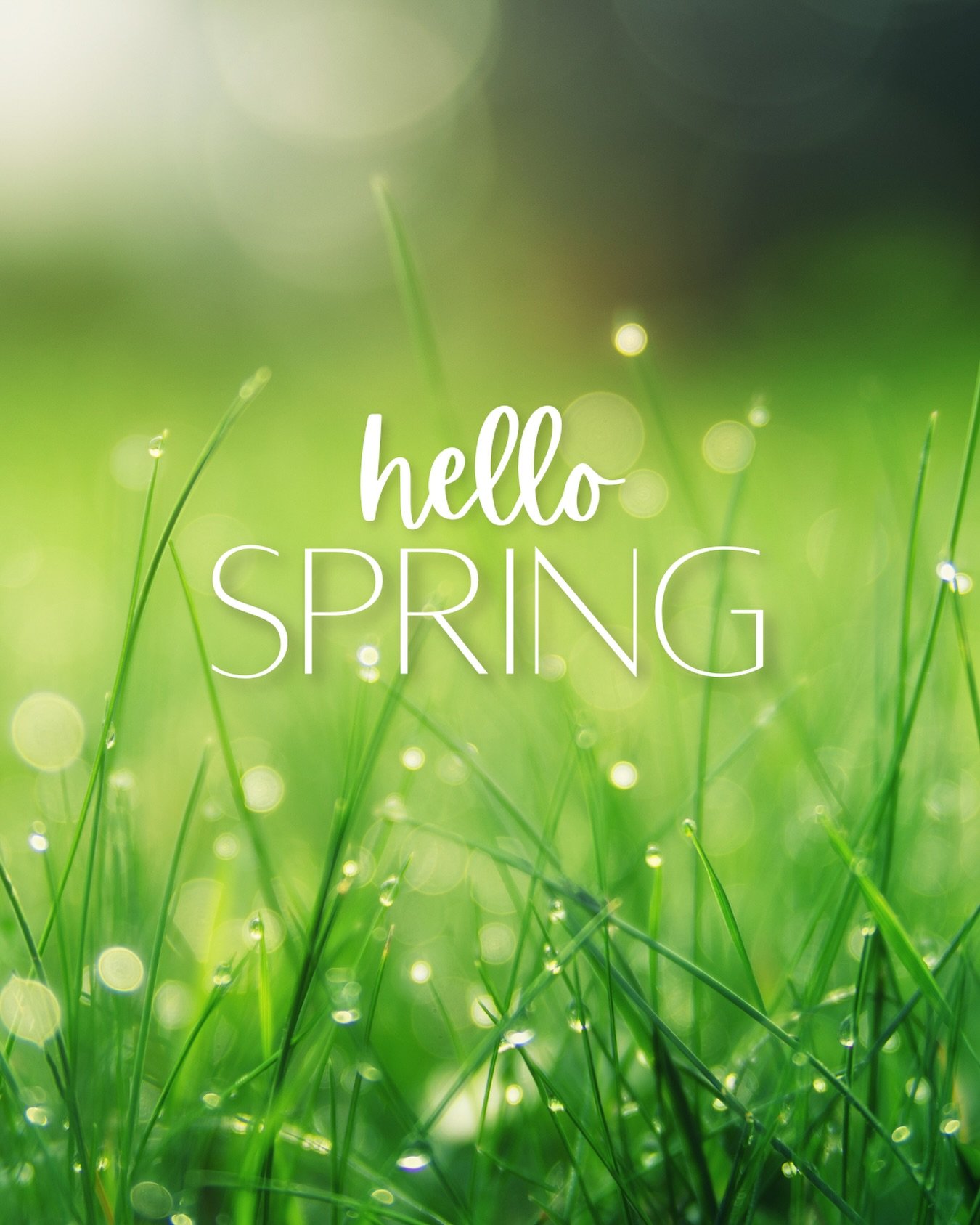 We made it to Spring! Ready for green leaves, growing grass, buzzing bees  and spring flowers! 🌷🐝🌱