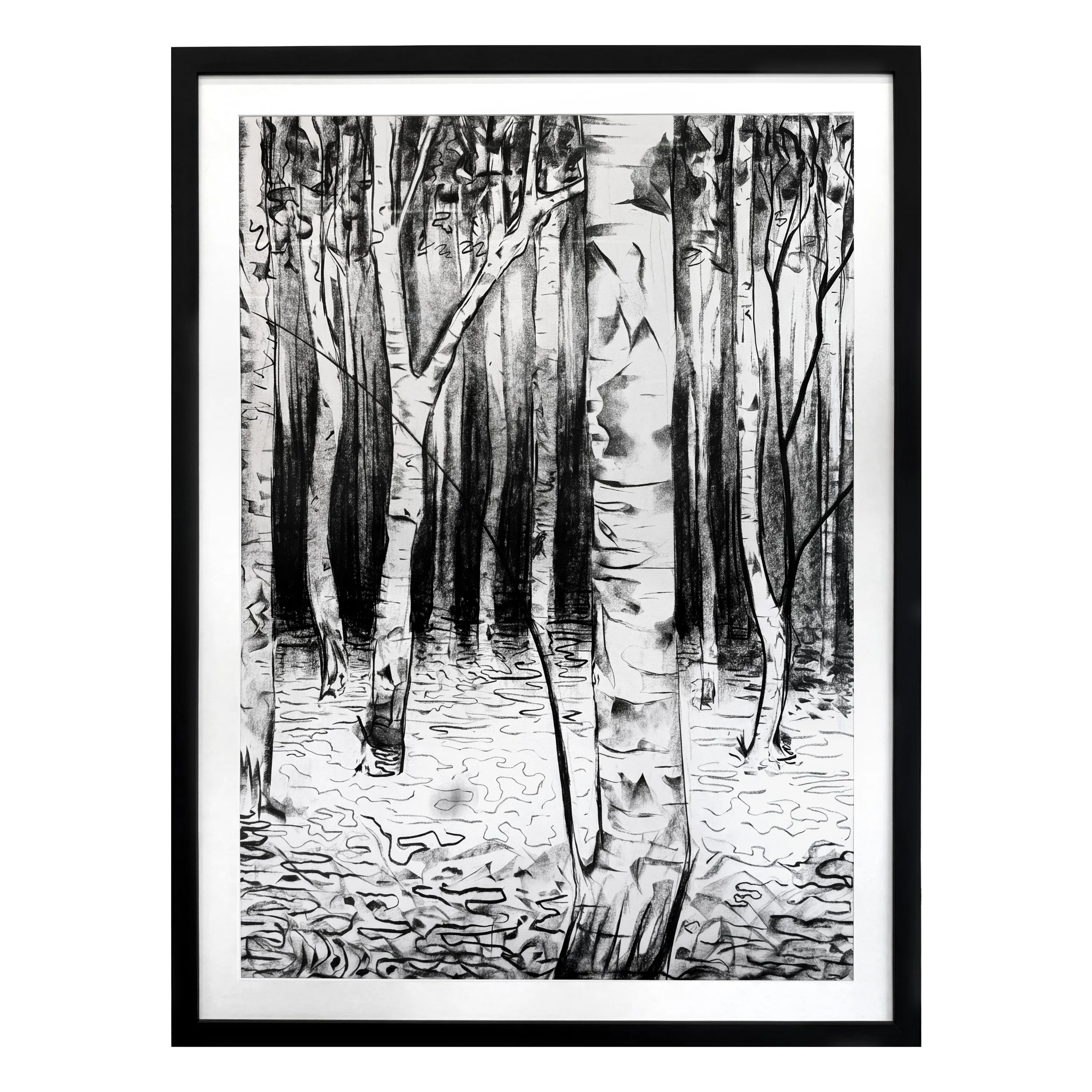 Birch Forest