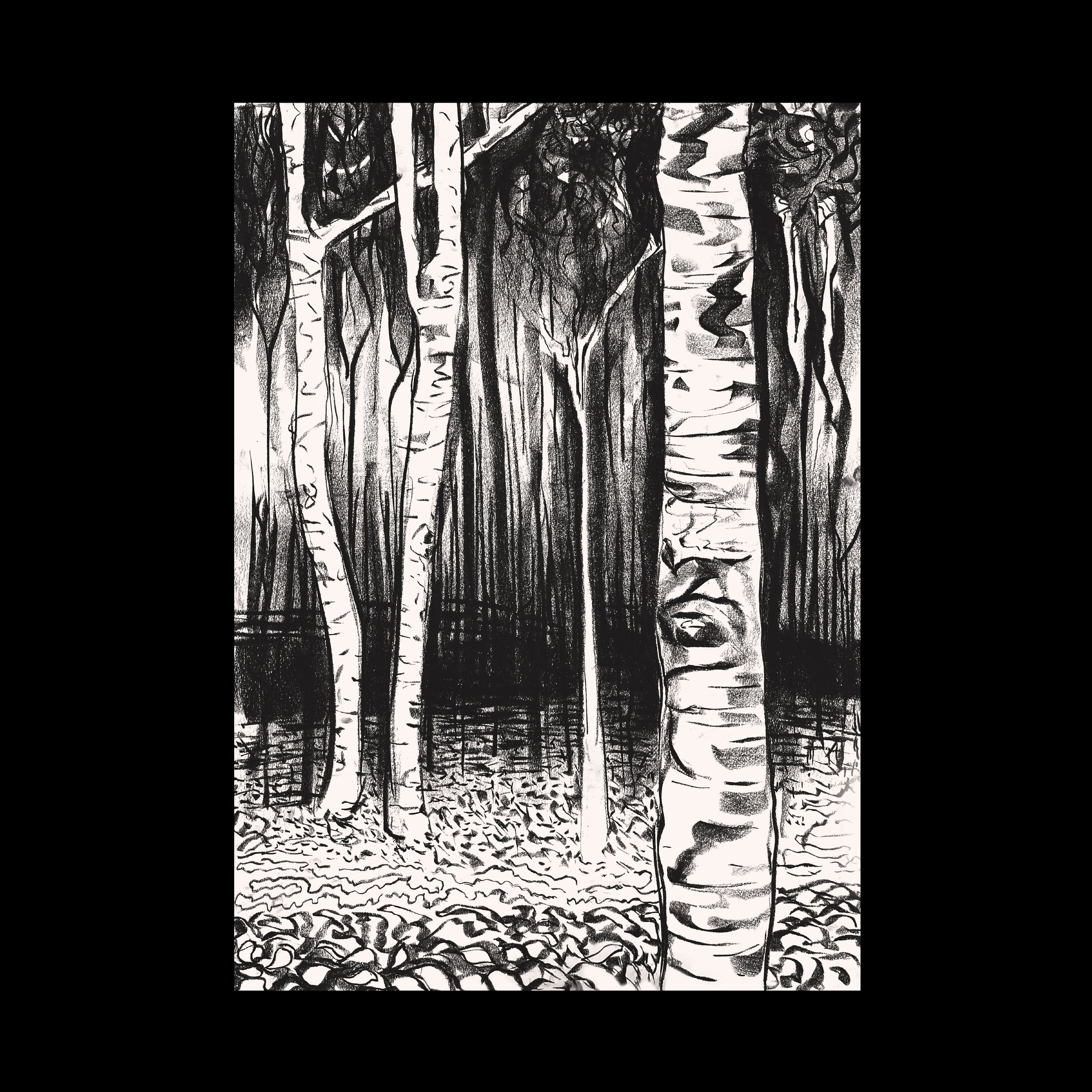 tree 2.jpg