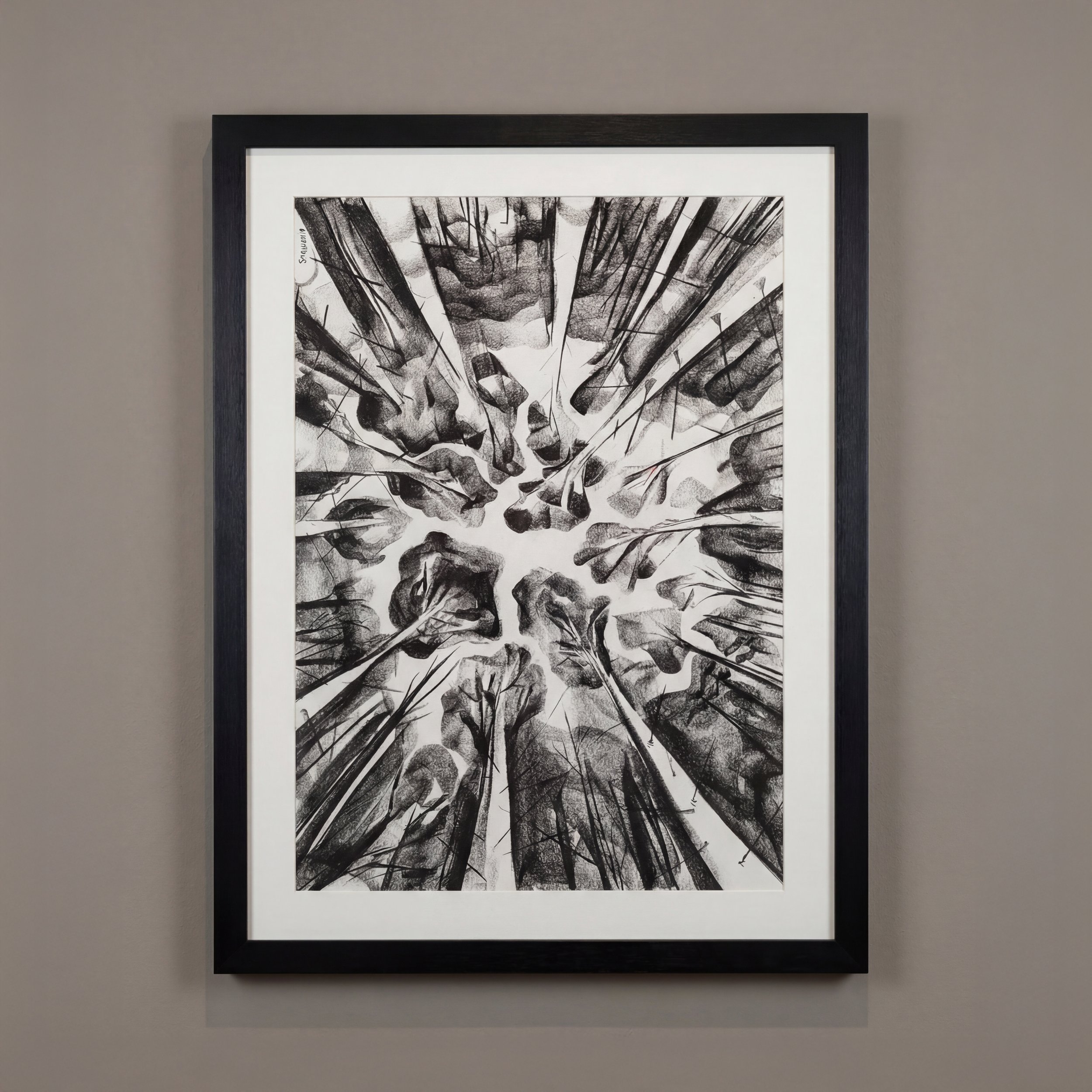 Bagley Wood Canopy, Charcoal on Paper, 80 x 104 cm, Framed. £500