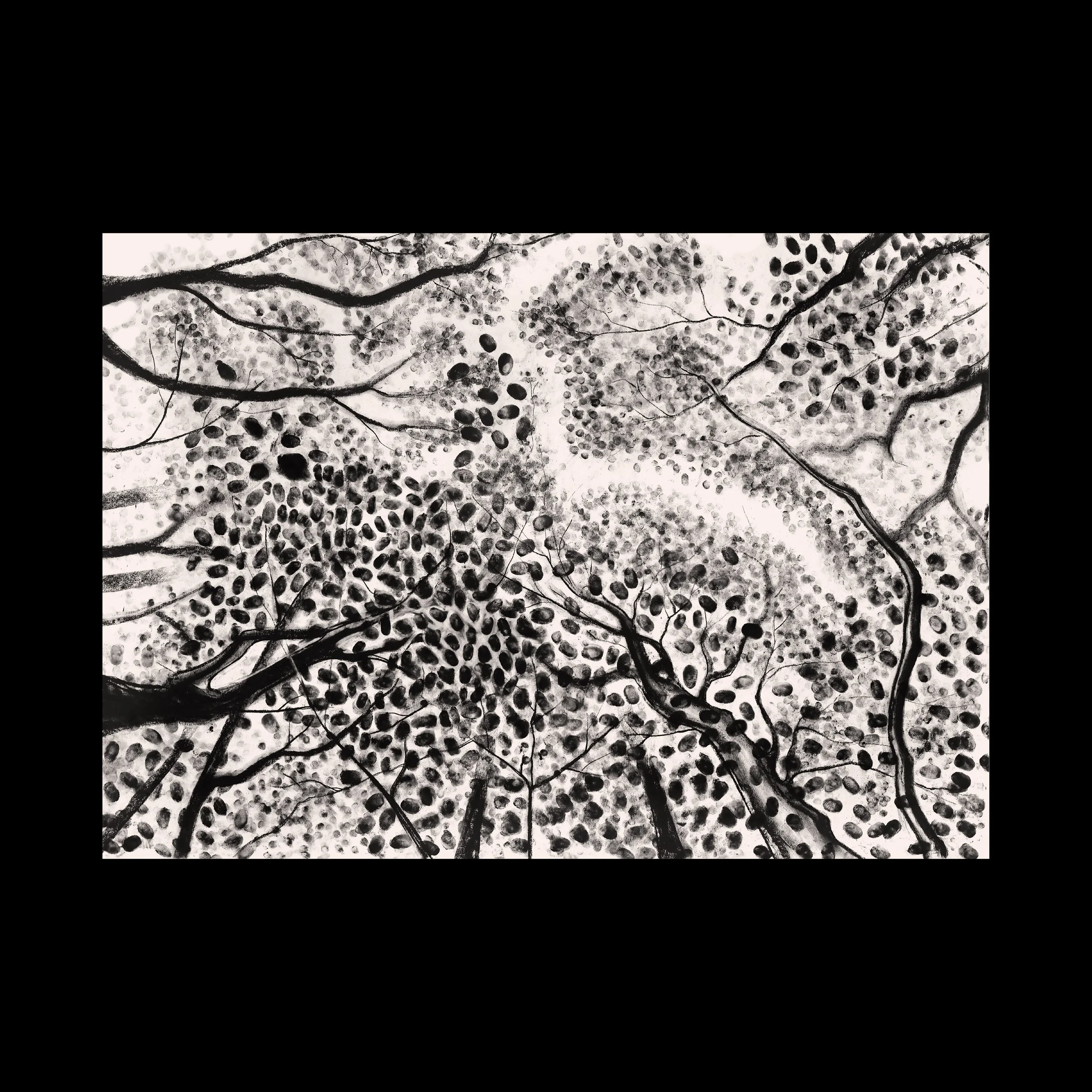 tree 1.jpg