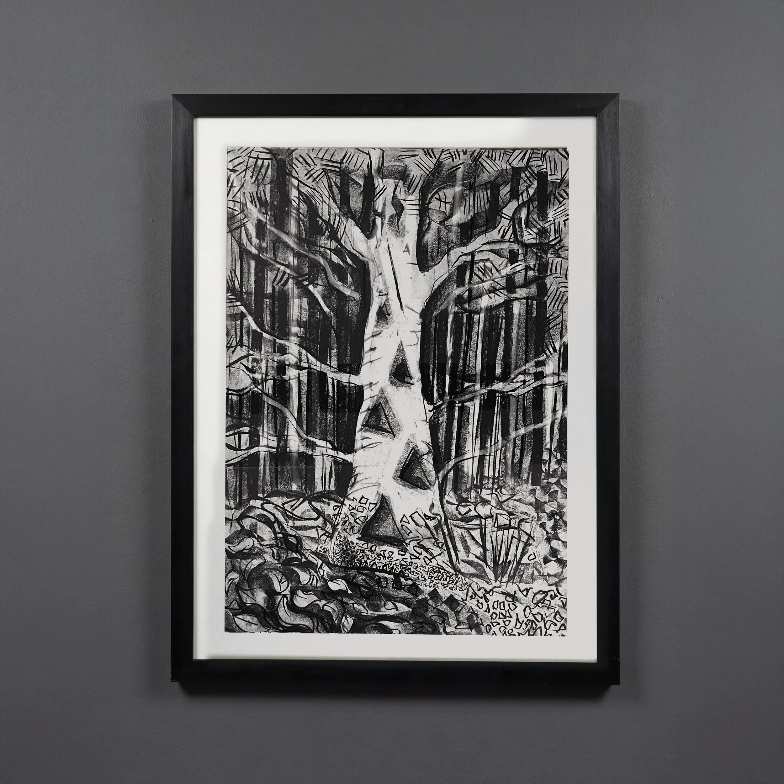 Big Birch, Charcoal on Paper, 80 x 104 cm, Framed. £500