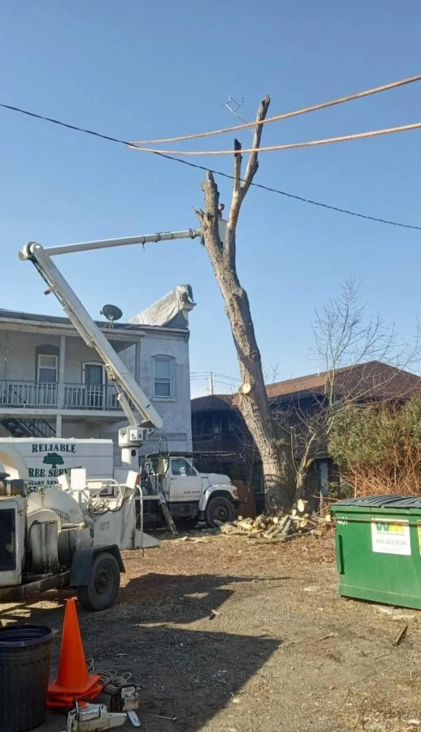 image_123650291 (4).jpg