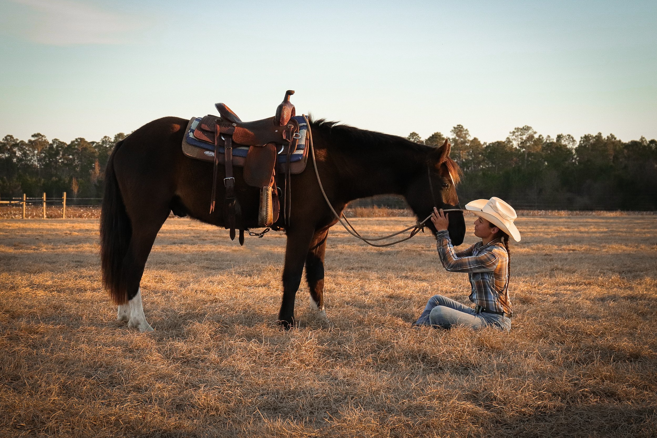 Horse Photographer In South Georgia 