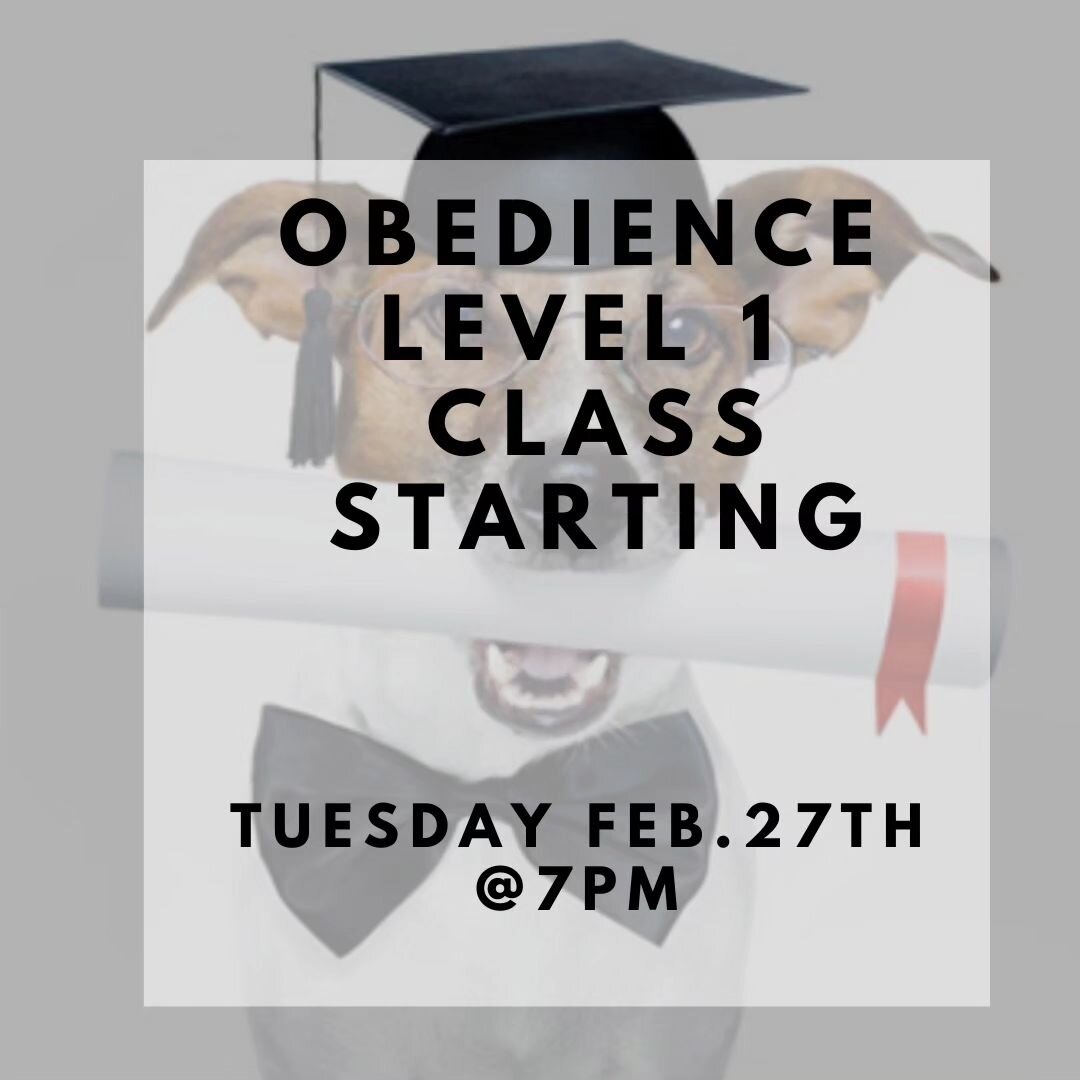 Obedience Level 1 Starting 

* Tuesday, February 27th @ 7 PM

 Come join us for this 6-week program.  Call us today to book your spot. Spaces are limited. 416-412-7771