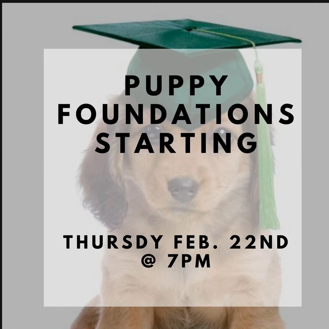 Puppy Foundations Class start dates. 

* Thursday, February  22  @ 7 PM

 Come join us for this fun 4-week program.  Call us today to book your spot. Spaces are limited.  416-412-7771.