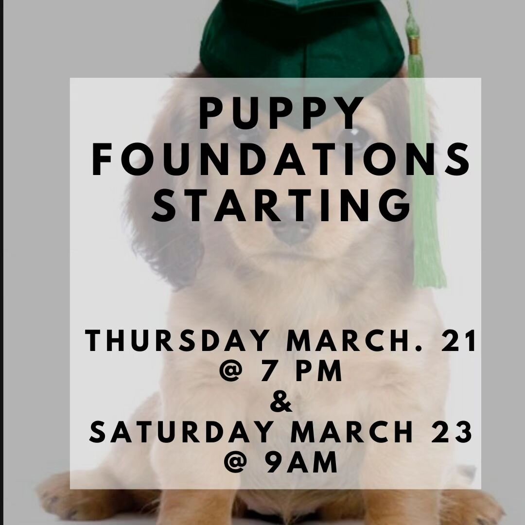Puppy Foundations Class start dates. 

* Thursday, March  21  @ 7 PM

*Saturday, March 23 @ 9 AM

 Come join us for this fun 4-week program.  Call us today to book your spot. Spaces are limited.  416-412-7771.