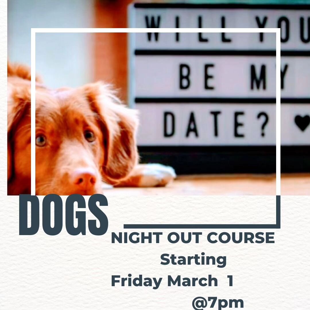 This session is all about fun and spending time together!

Starts:&nbsp; Friday, March 1, @7pm

Duration:&nbsp; 4 weeks&nbsp;

Cost: $150.00 (includes taxes)

Spaces&nbsp;are limited,  so sign up today!
416-412-7771