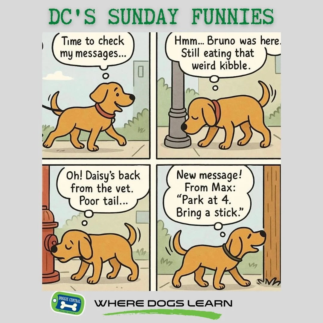 Busy day. 
Enjoy your Sunday.