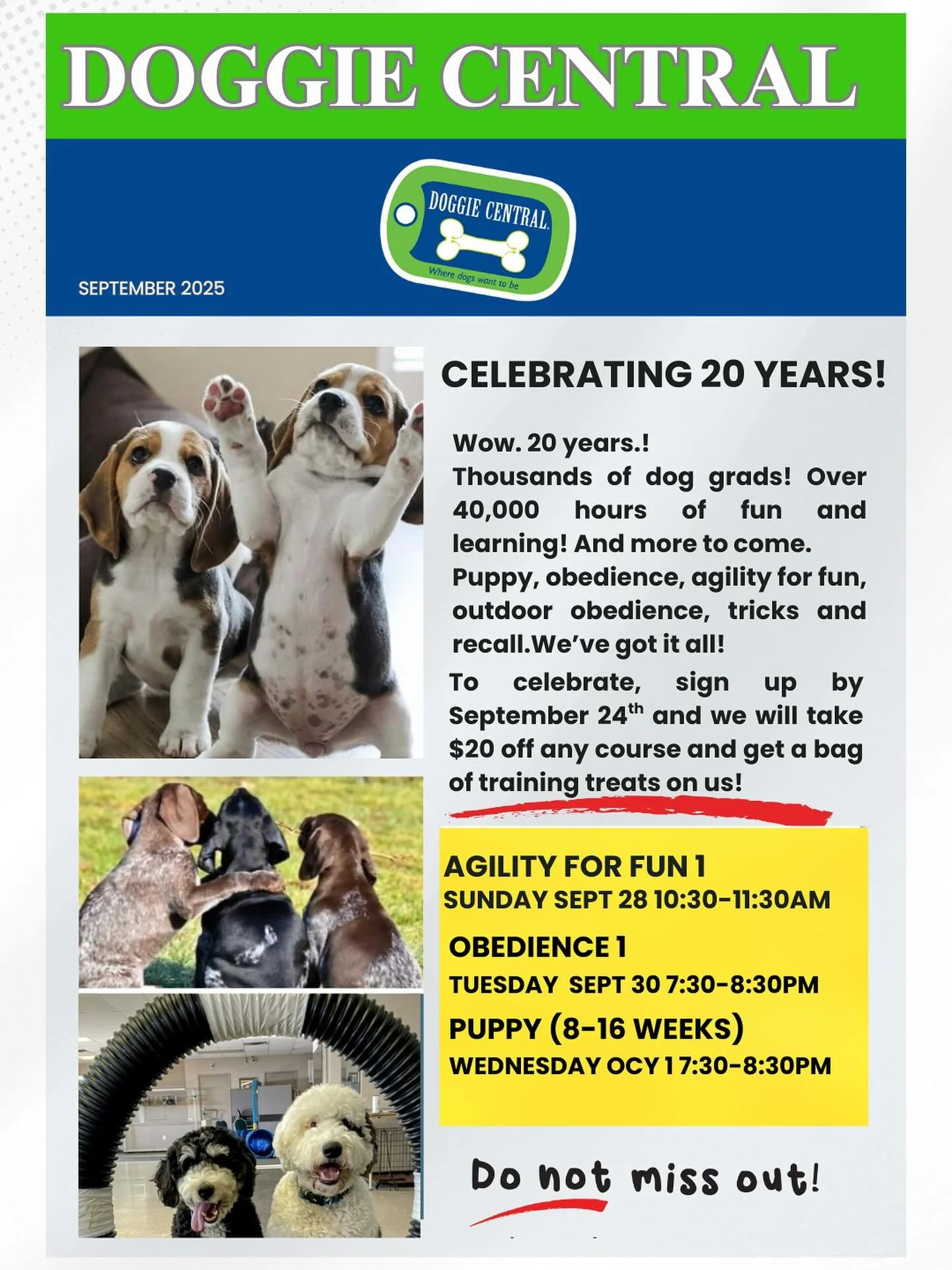 &ldquo;20 for 20&rdquo;. Save $20 off any class you register for to help us celebrate 20 years of making learning fun!🐾🎉🐾