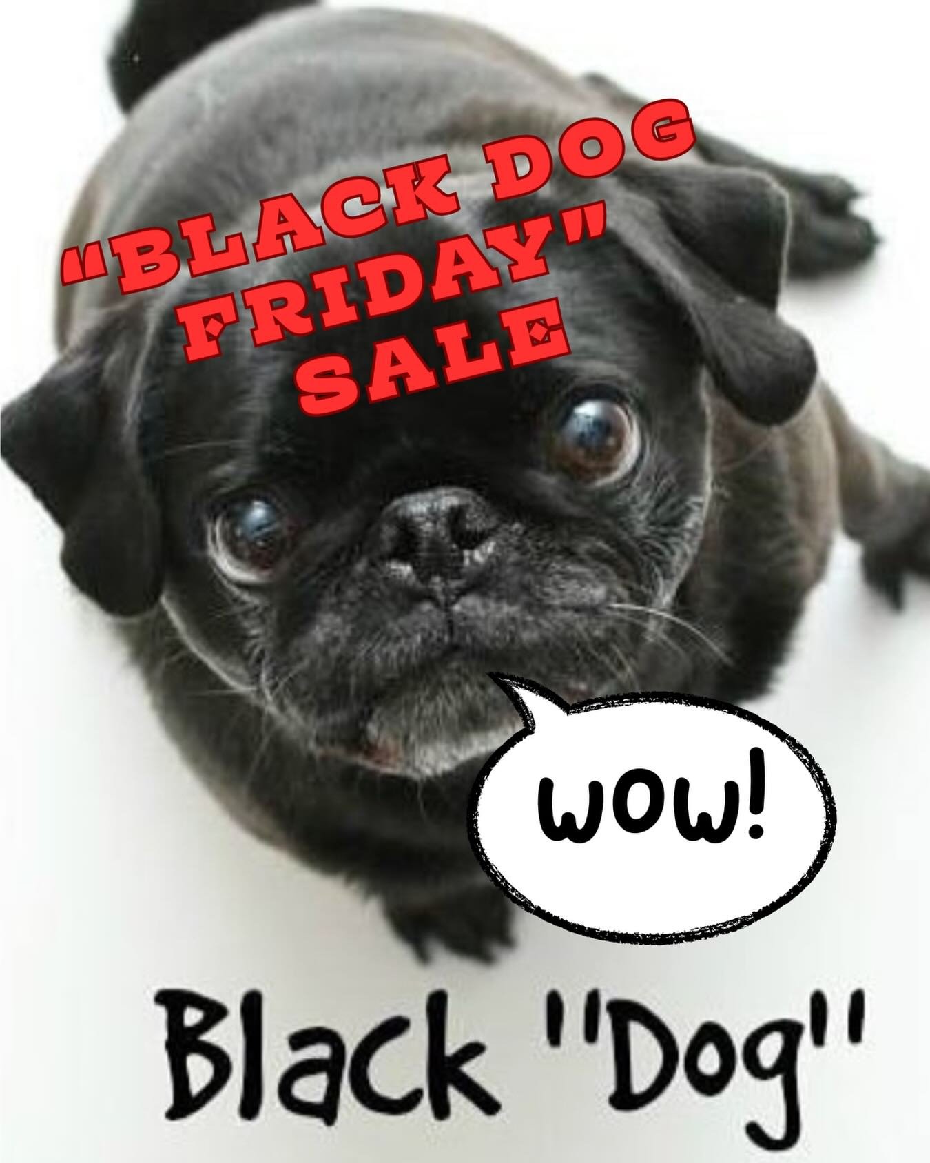 Check back tomorrow and see what&rsquo;s up!!!
🐾🐾🐾🐾🔥