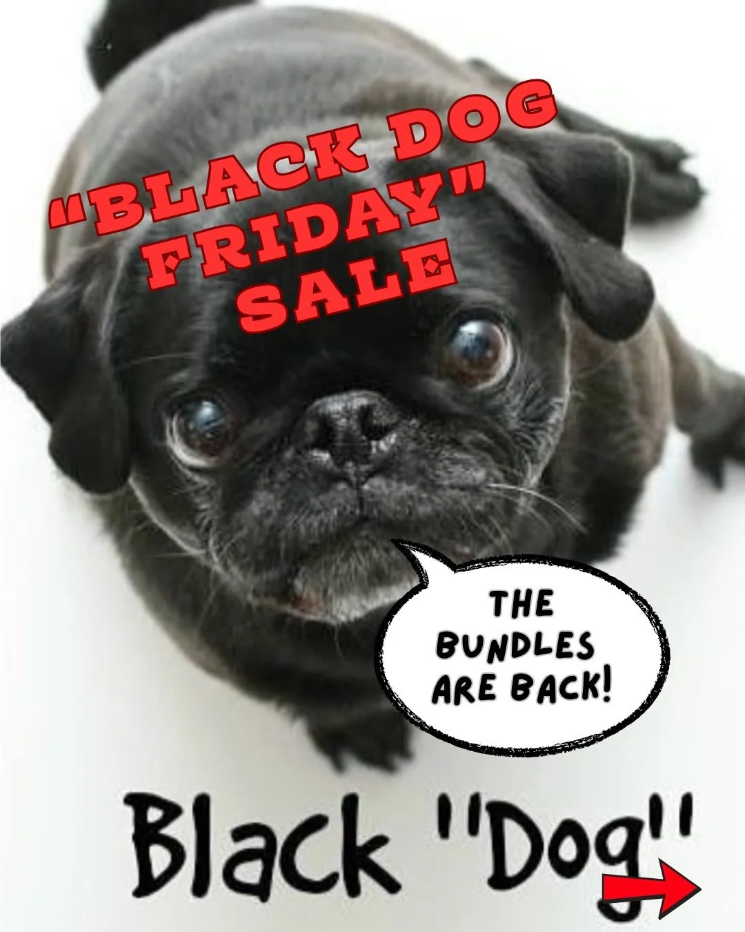 They&rsquo;re back🐾🐾🐾 Our training bundles are the best way to save and spend quality time with your best bud🔥🦴🆒
Spaces are limited so sign up and save!
Call Text or email for more details.