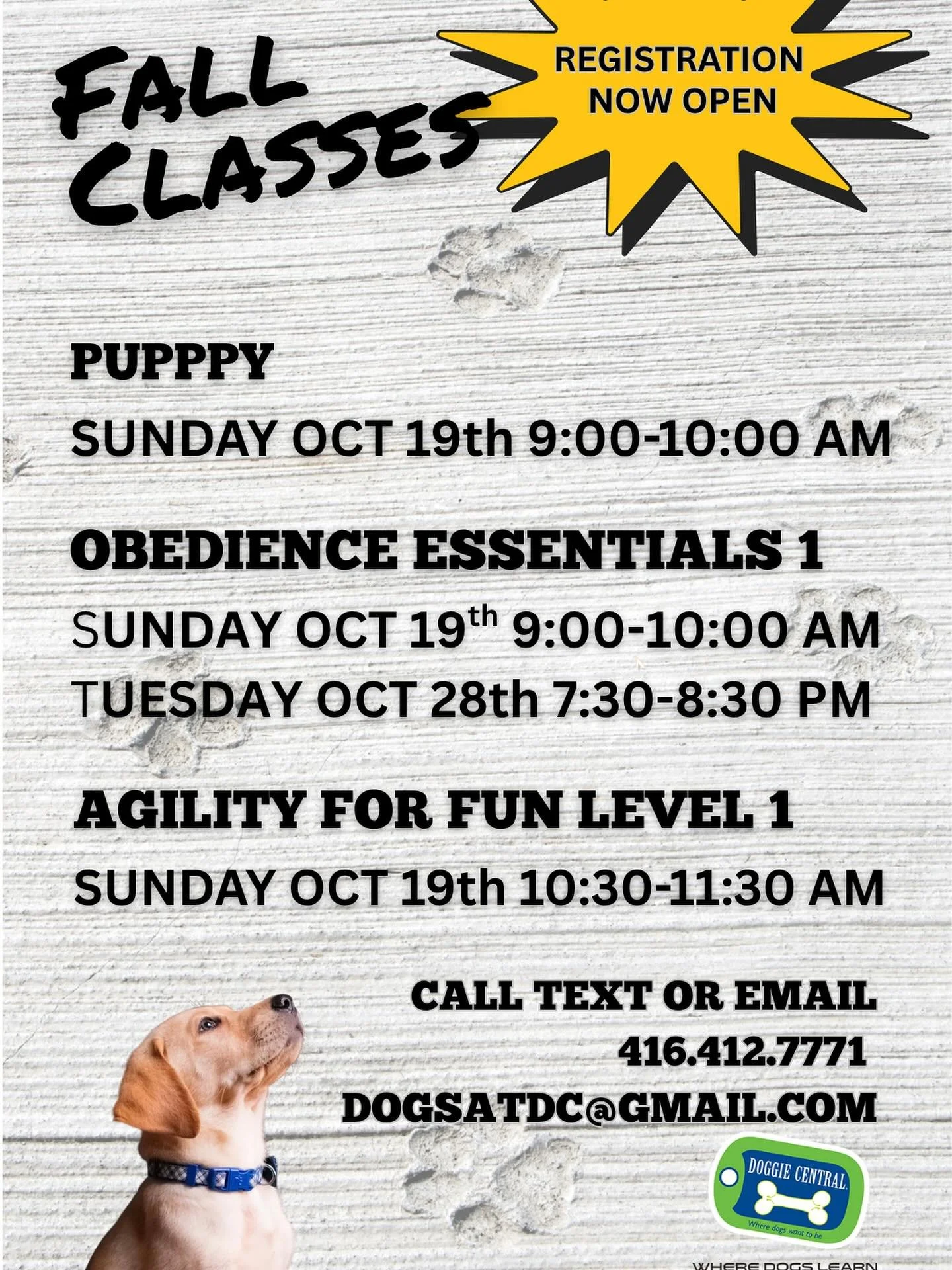 Call Text or Email for details and to register. Sign up by Friday October 10th and get $20 off to help us celebrate 20 years!🐾🐾