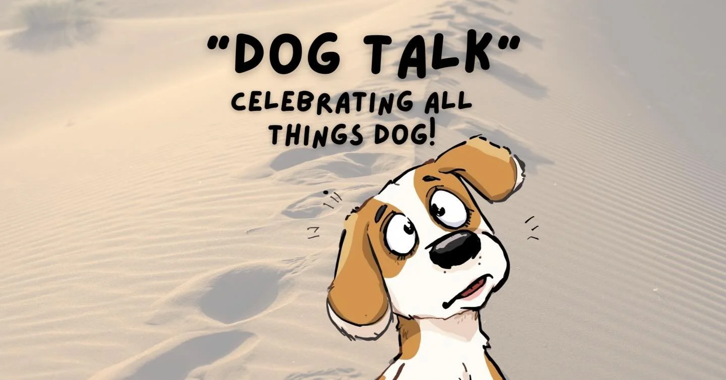 Join us online for Dog Talk where we talk about fun things to do with your dog in the winter. ❄️ Family Day , Monday Feb 16th 5:30-6:15. Share with your fur friends. 
Click on the link in the bio to register. 🐾