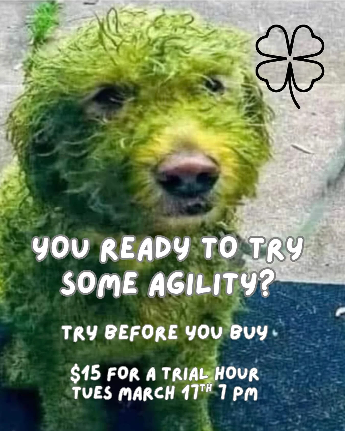 See our last post and get in on the fun!
ONLY 5 SPOTS AVAILABLE