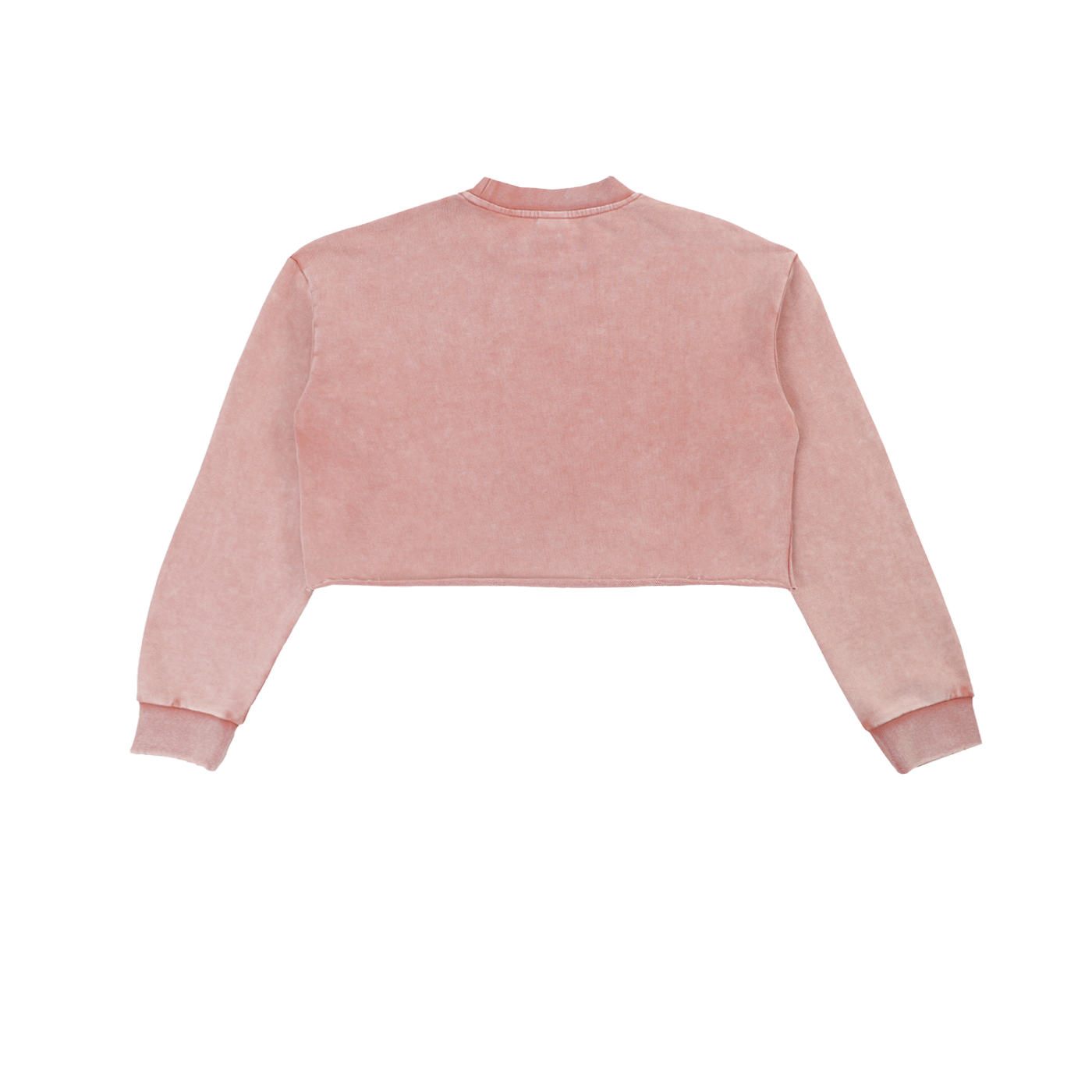 Snow Washed Raw Edge Cropped Sweatshirt-mockups-2.png