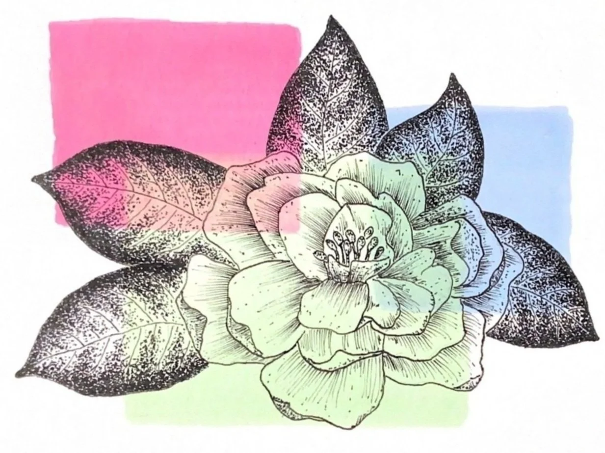 Gardenia.jpg