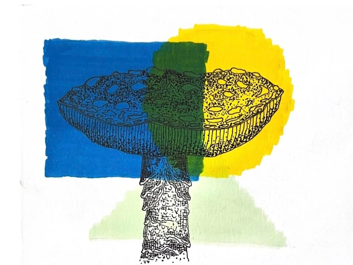 Mushroom.jpg