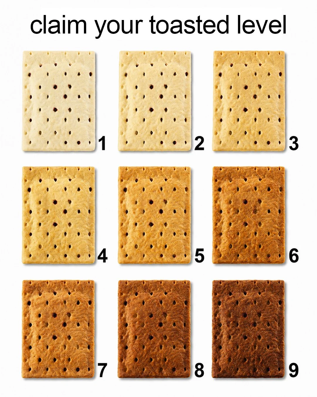 toasted_level_4x5.jpg