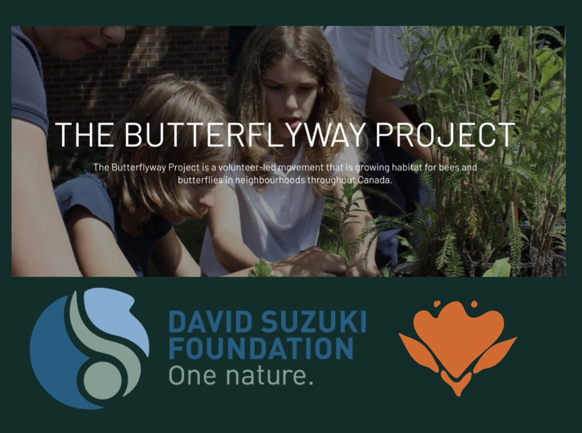 Info booth: David Suzuki Butterflyway Project