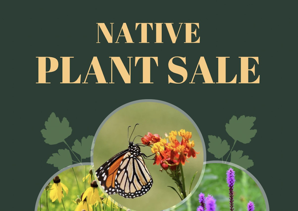 PECFN Native Plant Sale 