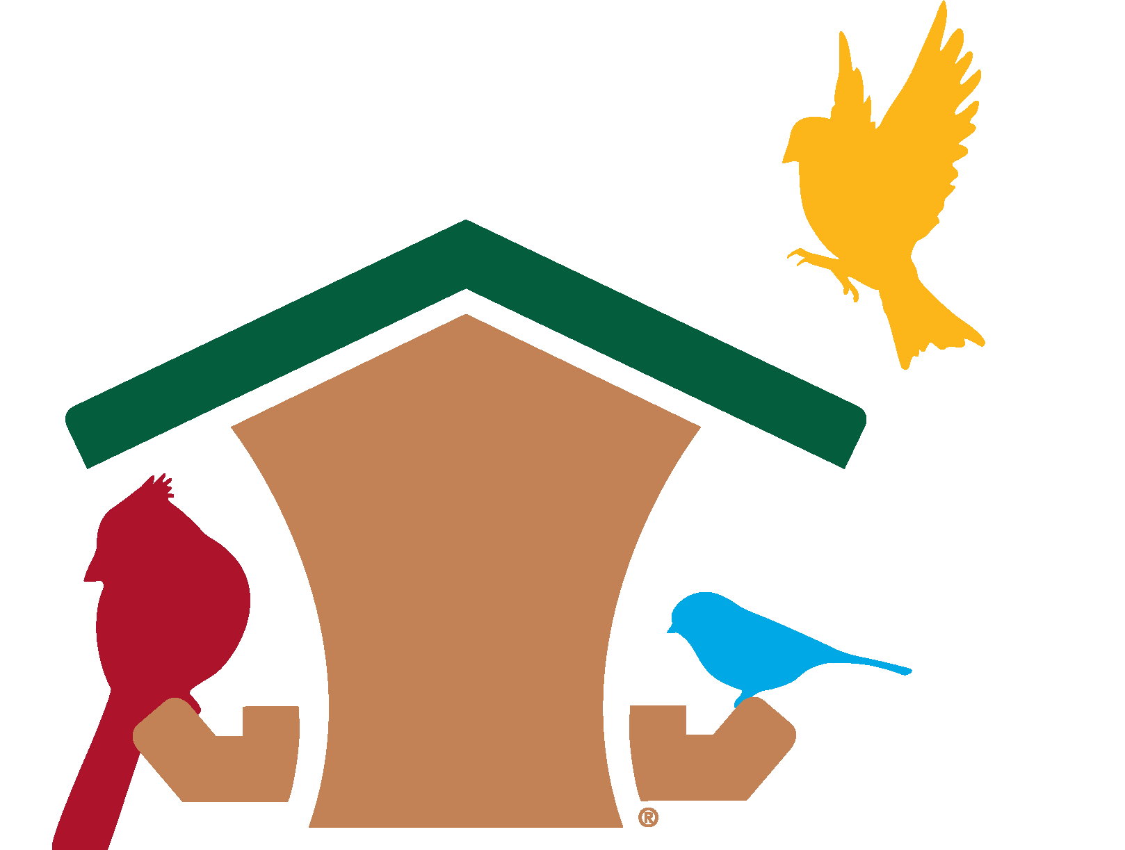 Attracting Birds to Your Backyard w/ Wild Birds Unlimited