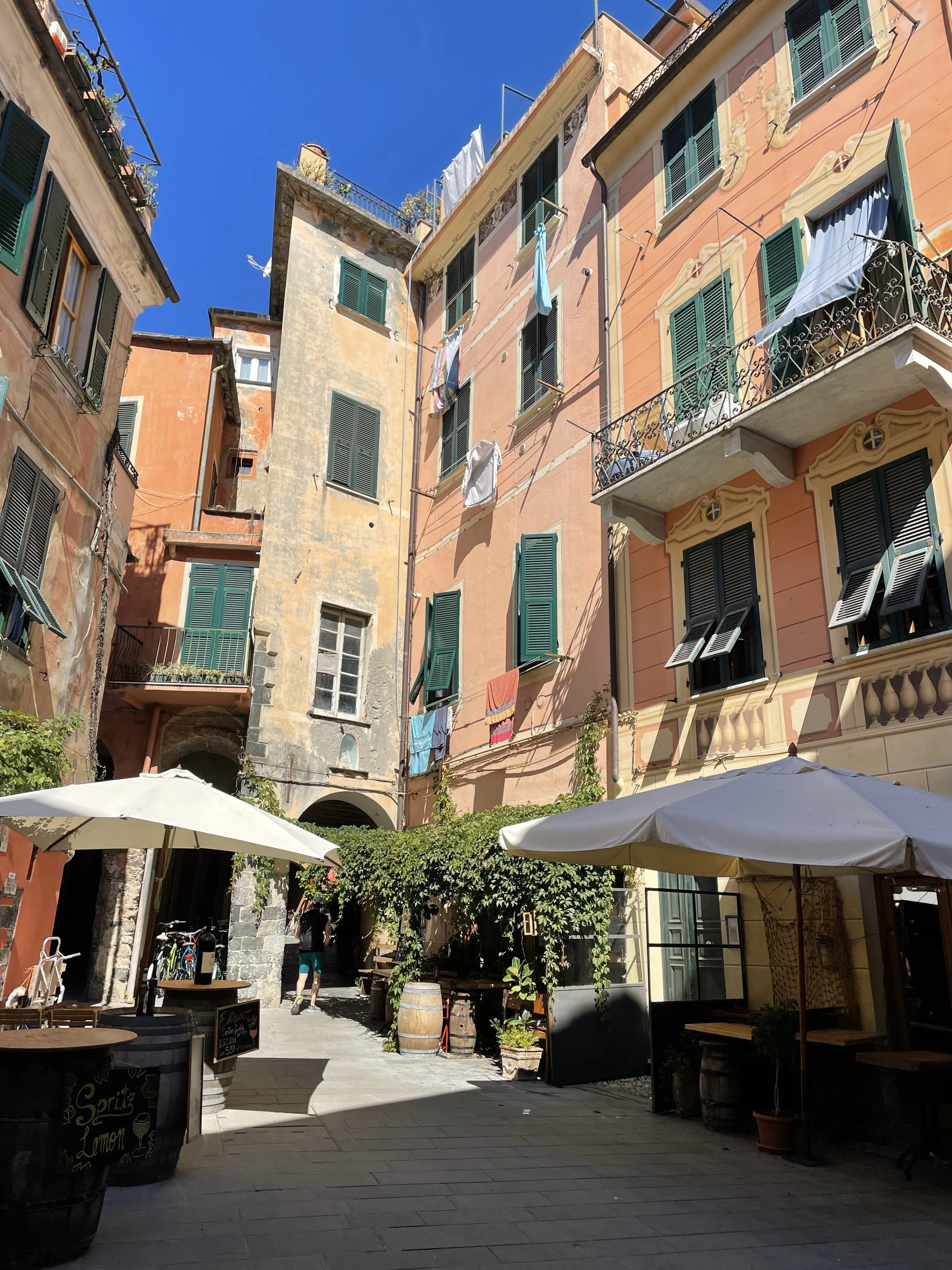 Italy_CinqueTerreTown.jpg
