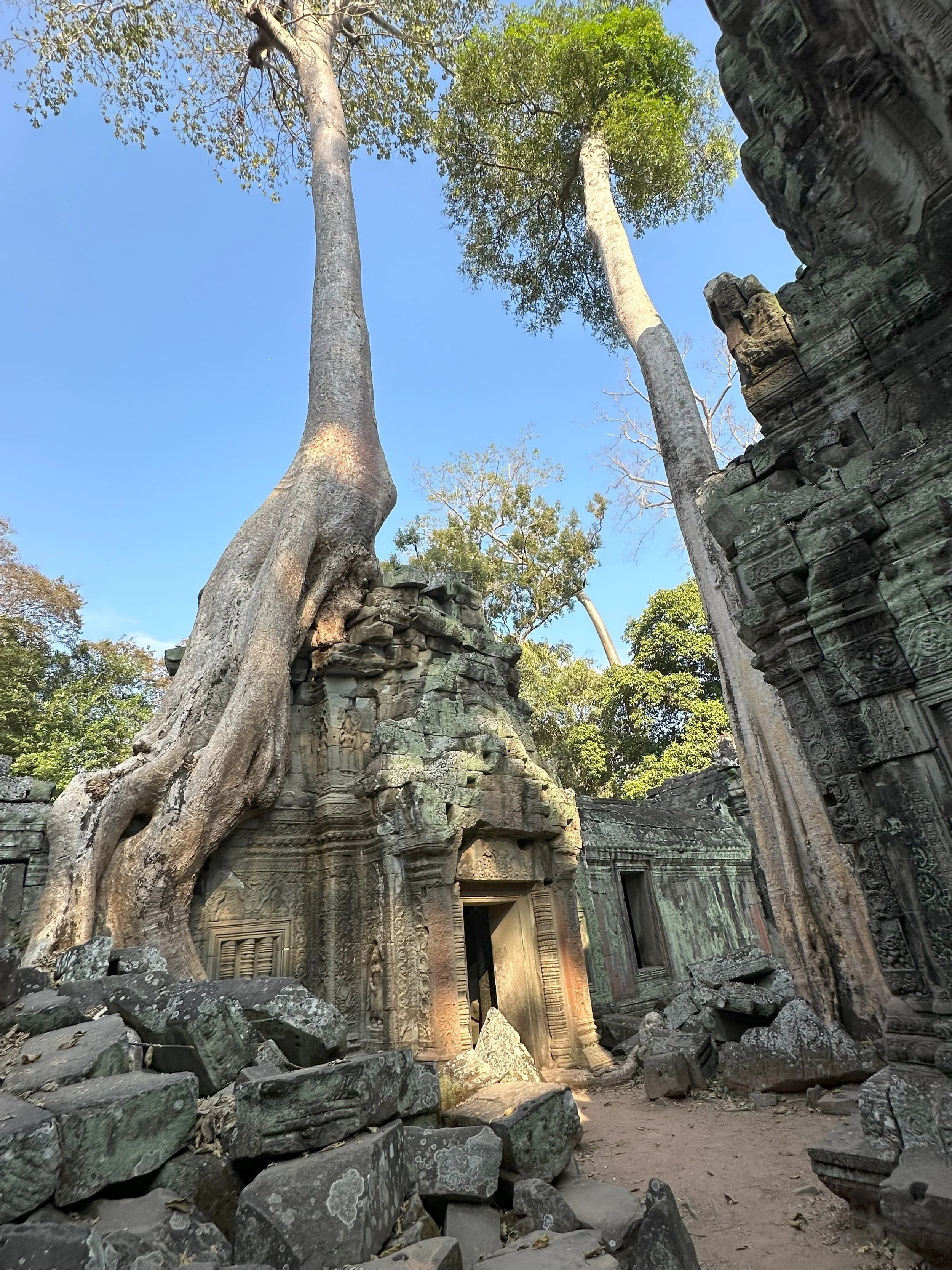 Cambodia_Angkor Wat Ta Prohm.jpg