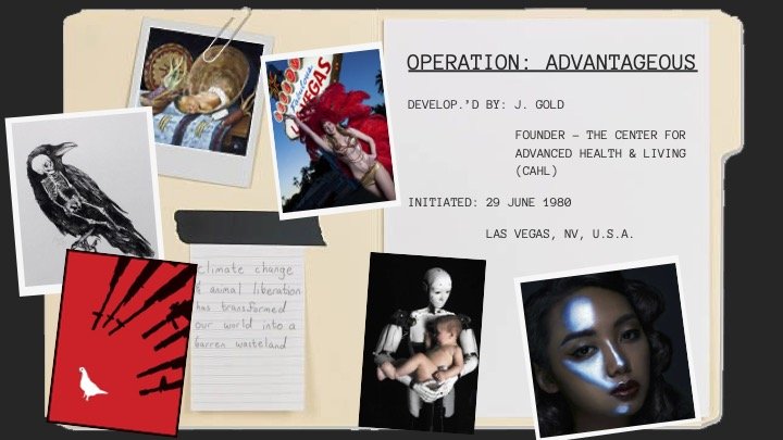 Final Design Presentation9.jpg