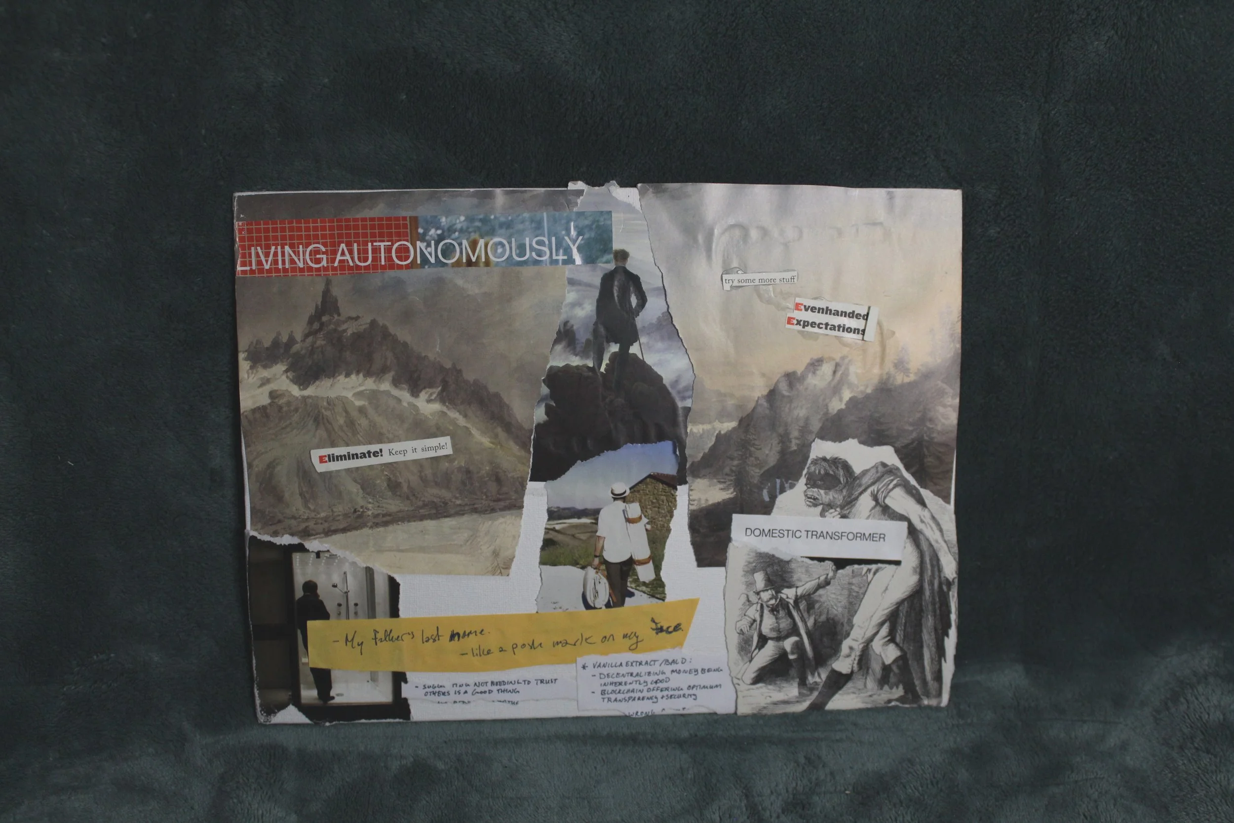 domestic transformer