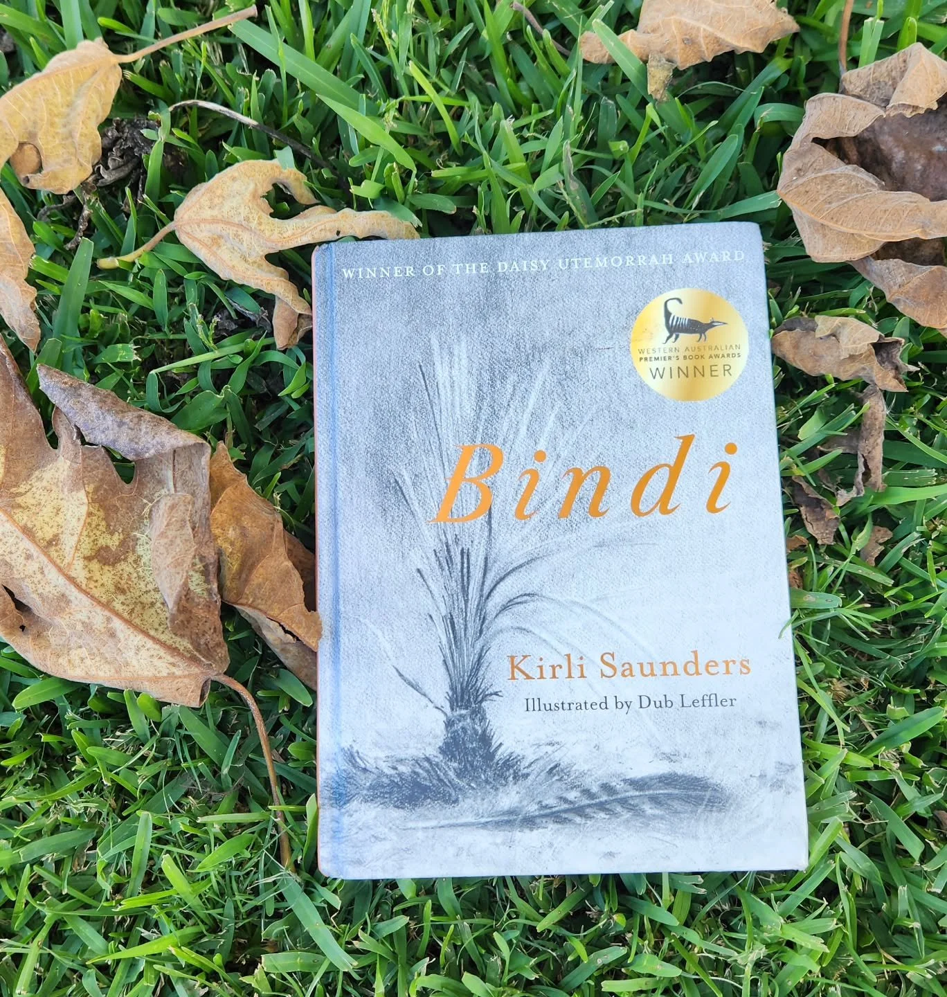 On a recent trip to my local library 'Bindi' by Kirli Saunders called out to me from the shelves. Published in 2020, I am surprised that I am only just reading this beautiful book now. 

A verse novel that is perfect for late primary school children 