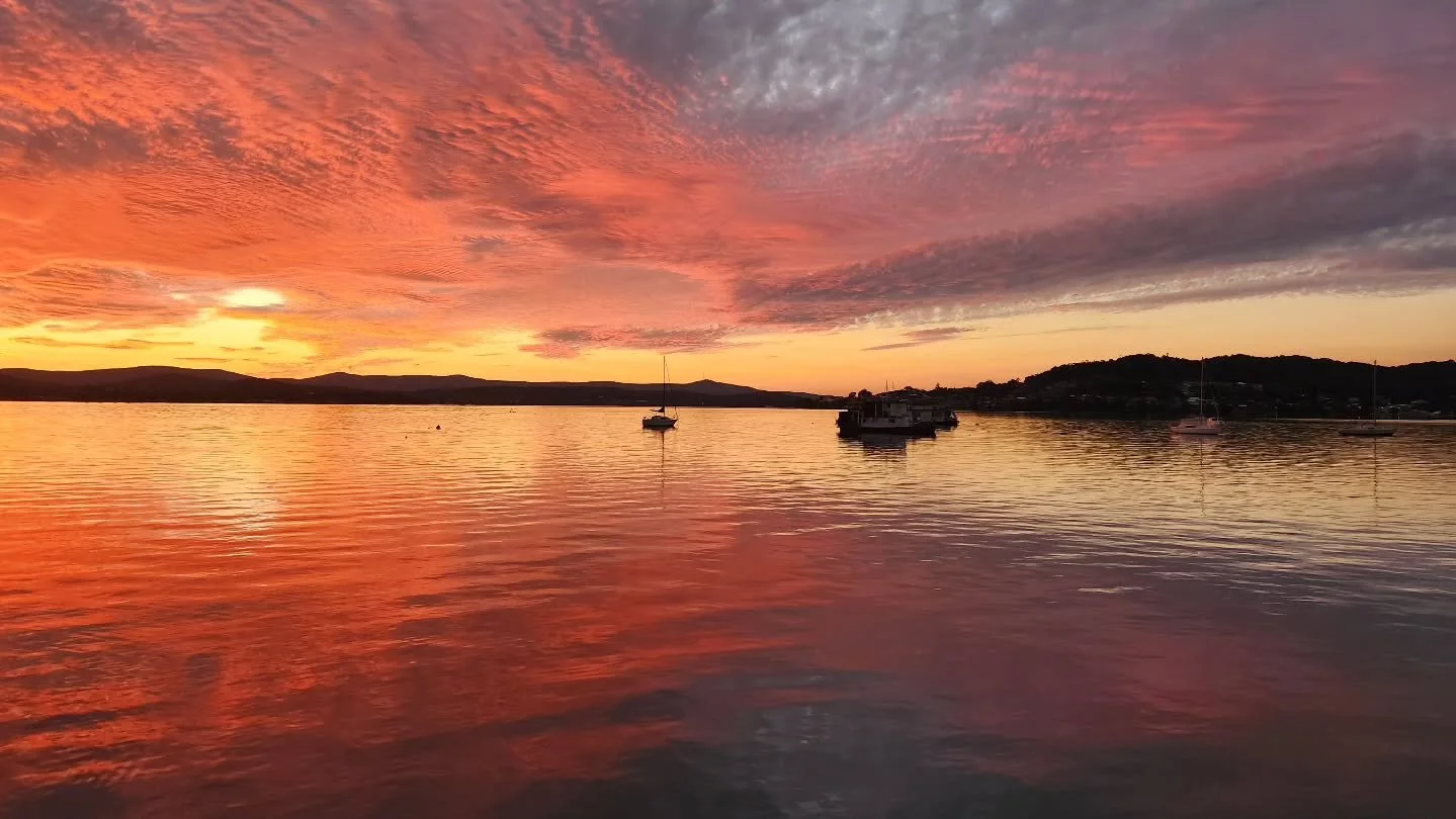 Does nature inspire your writing?

I am constantly inspired by nature, whether it is the vine on my porch that I see from my desk, or the beautiful place I live. 

#grateful #sunsets #family #authorlife