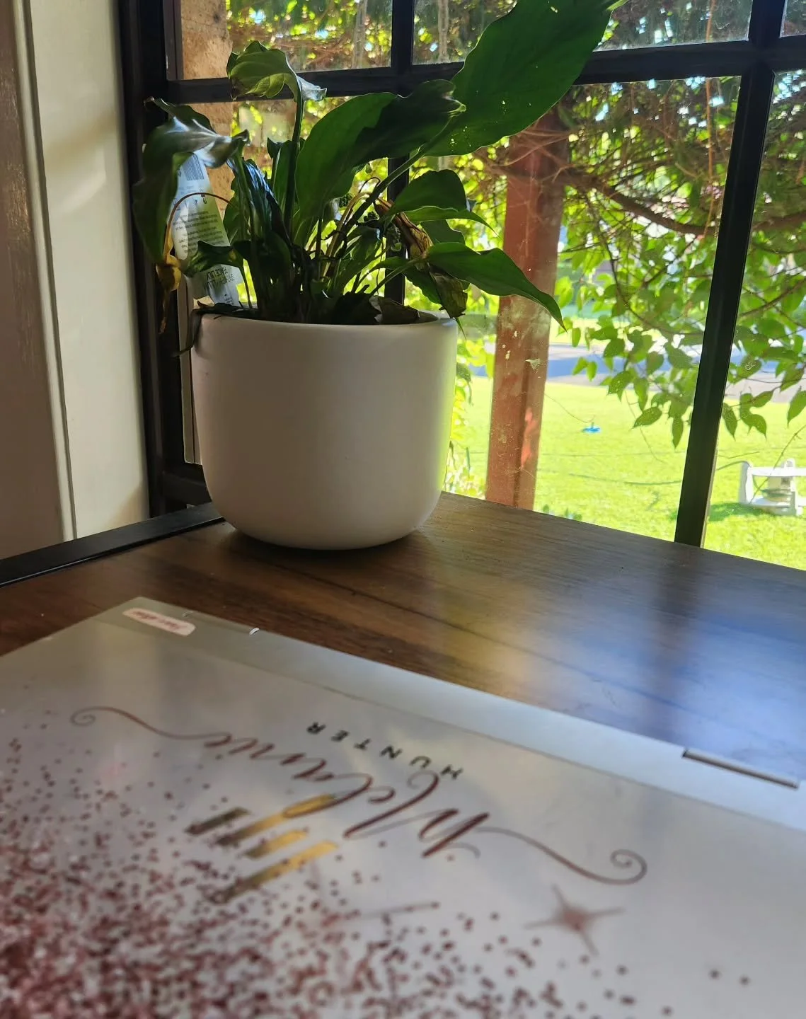 #writing #submissions

Taking time out to write, submit stories and enjoy this beautiful Autumn weather.