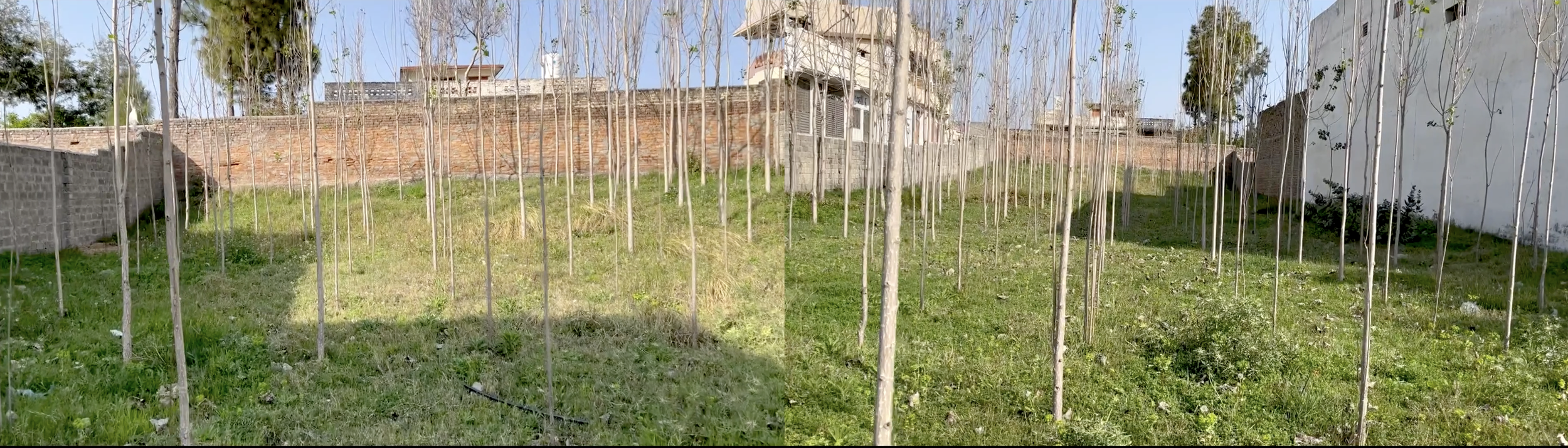 Screenshot 2025-05-01 at 9.21.23 AM.png