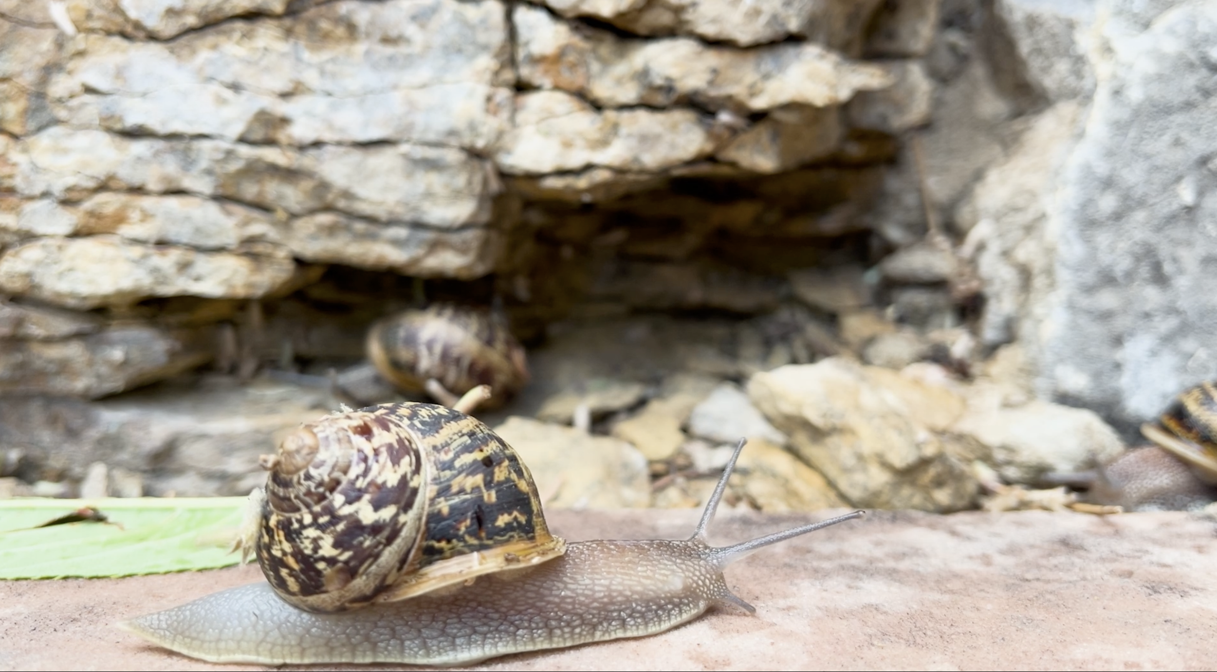 Screenshot 2026-04-23 at 10.00.17 PM.png